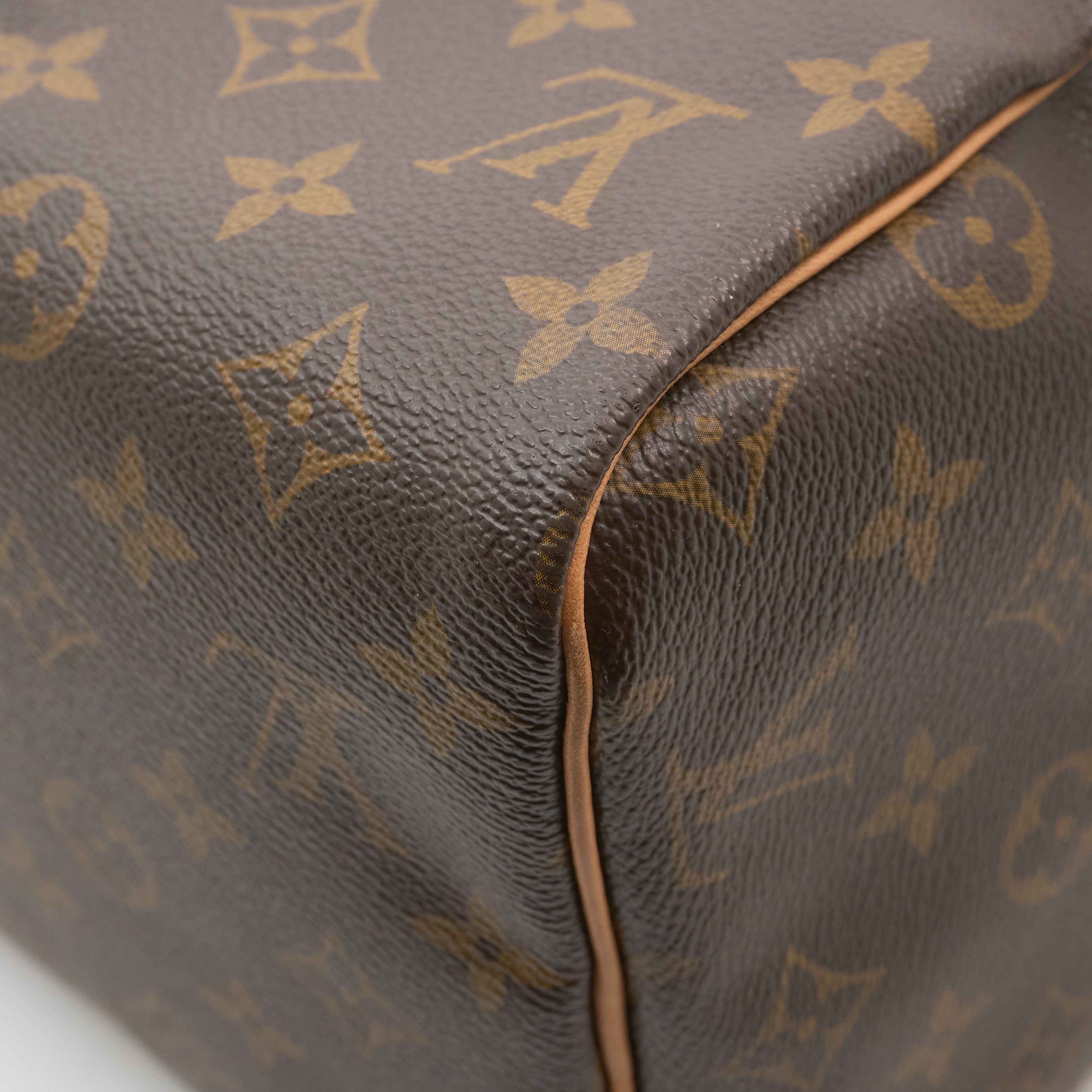 Louis Vuitton Monogram Speedy 30 Bag