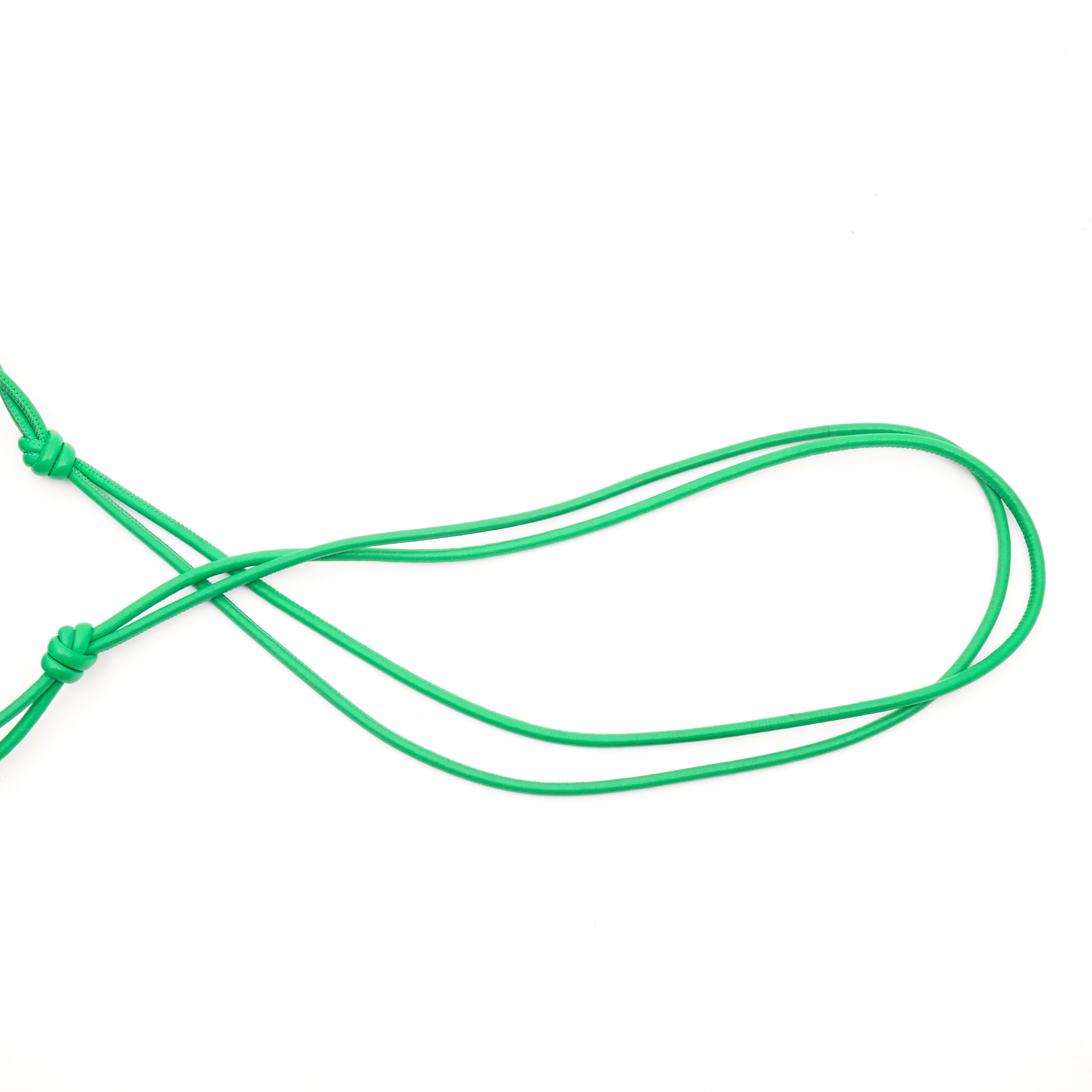 Bottega Veneta Mini Loop Green Camera Bag