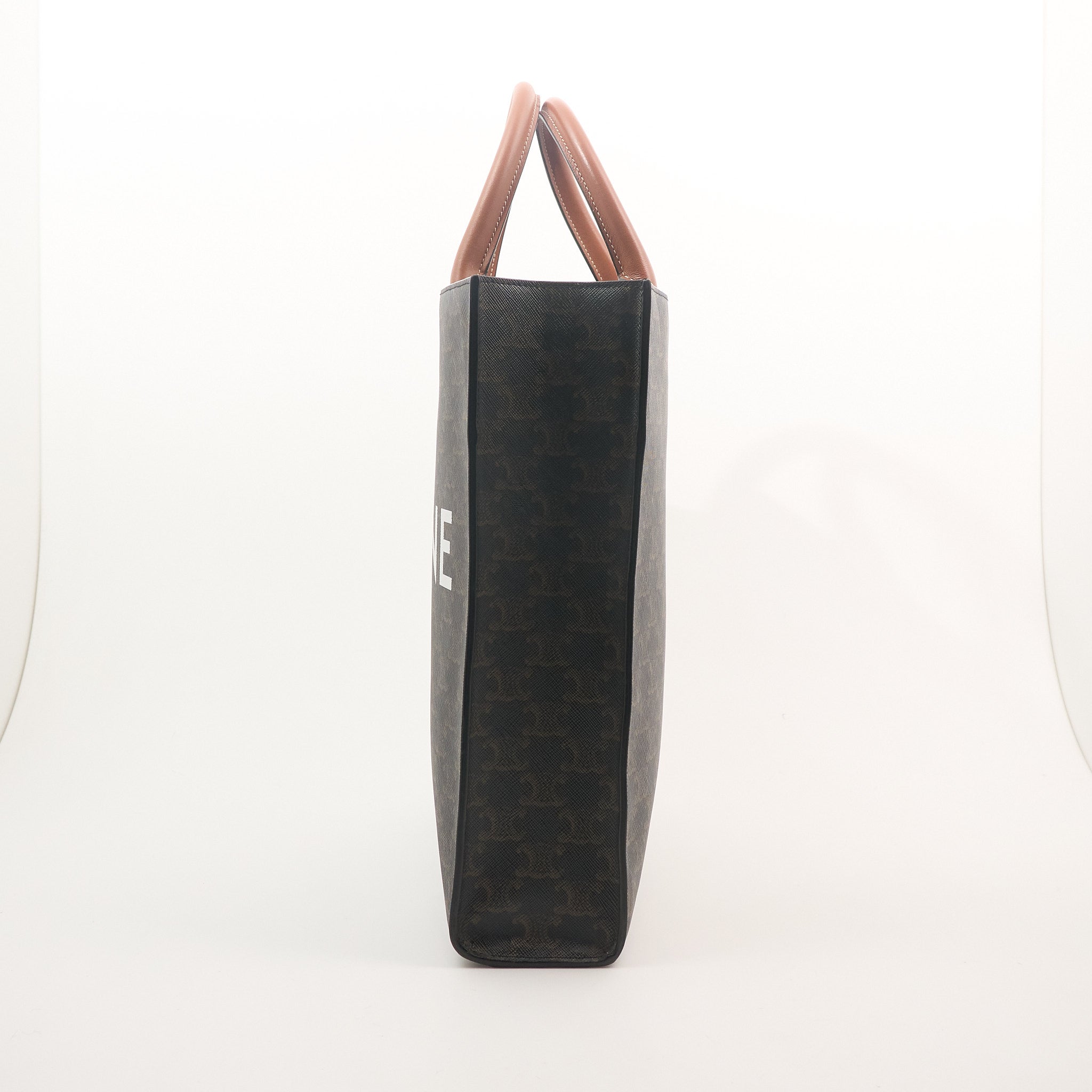 Celine Vertical Cabas Tote Bag in Triomphe Canvas