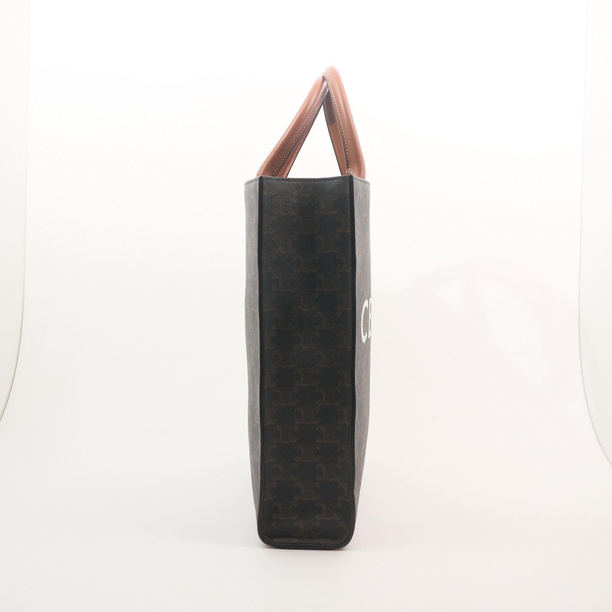 Celine Vertical Cabas Tote Bag in Triomphe Canvas