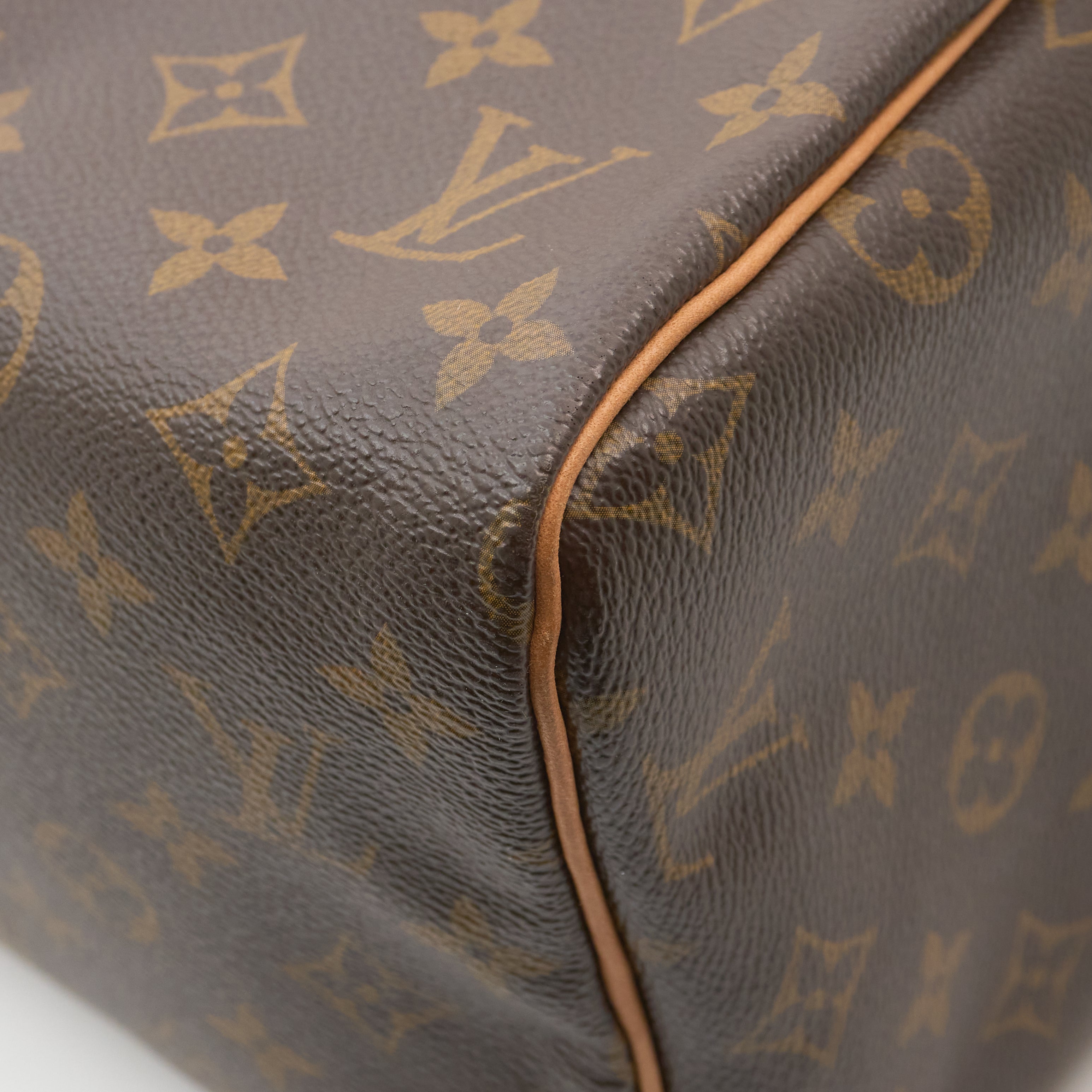 Louis Vuitton Monogram Speedy 30 Bag