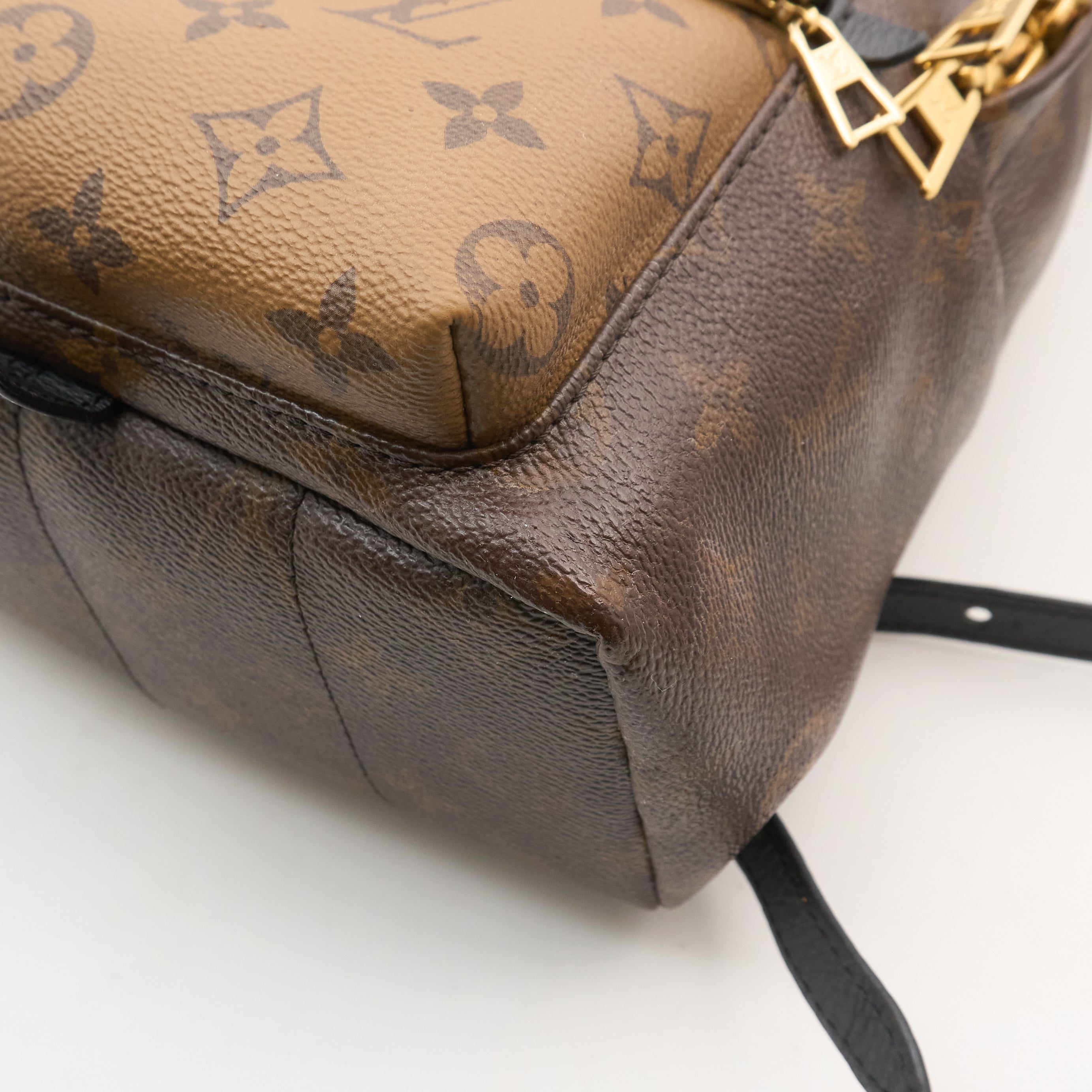 Louis Vuitton Monogram Reverse Palm Springs Backpack