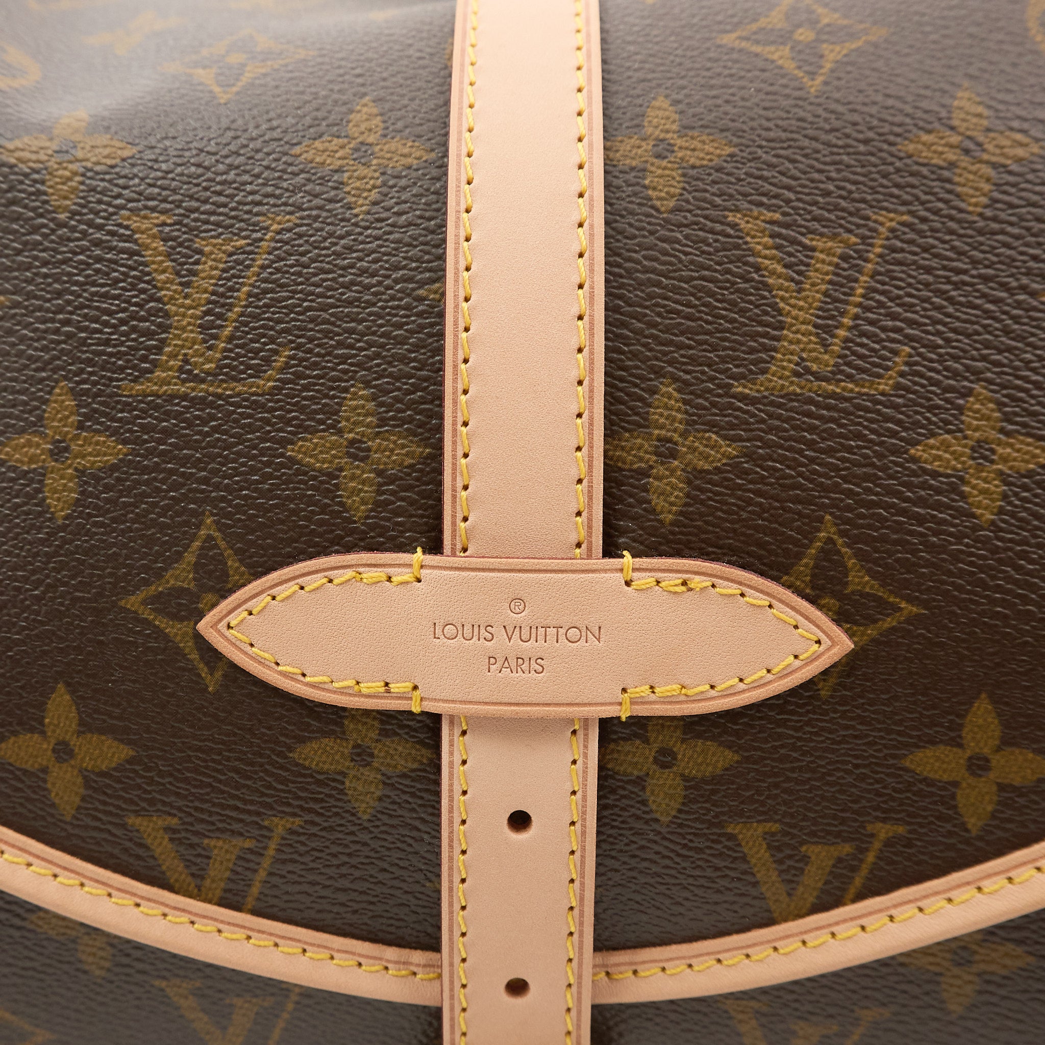 Louis Vuitton Monogram Saumur 30 Messenger Bag
