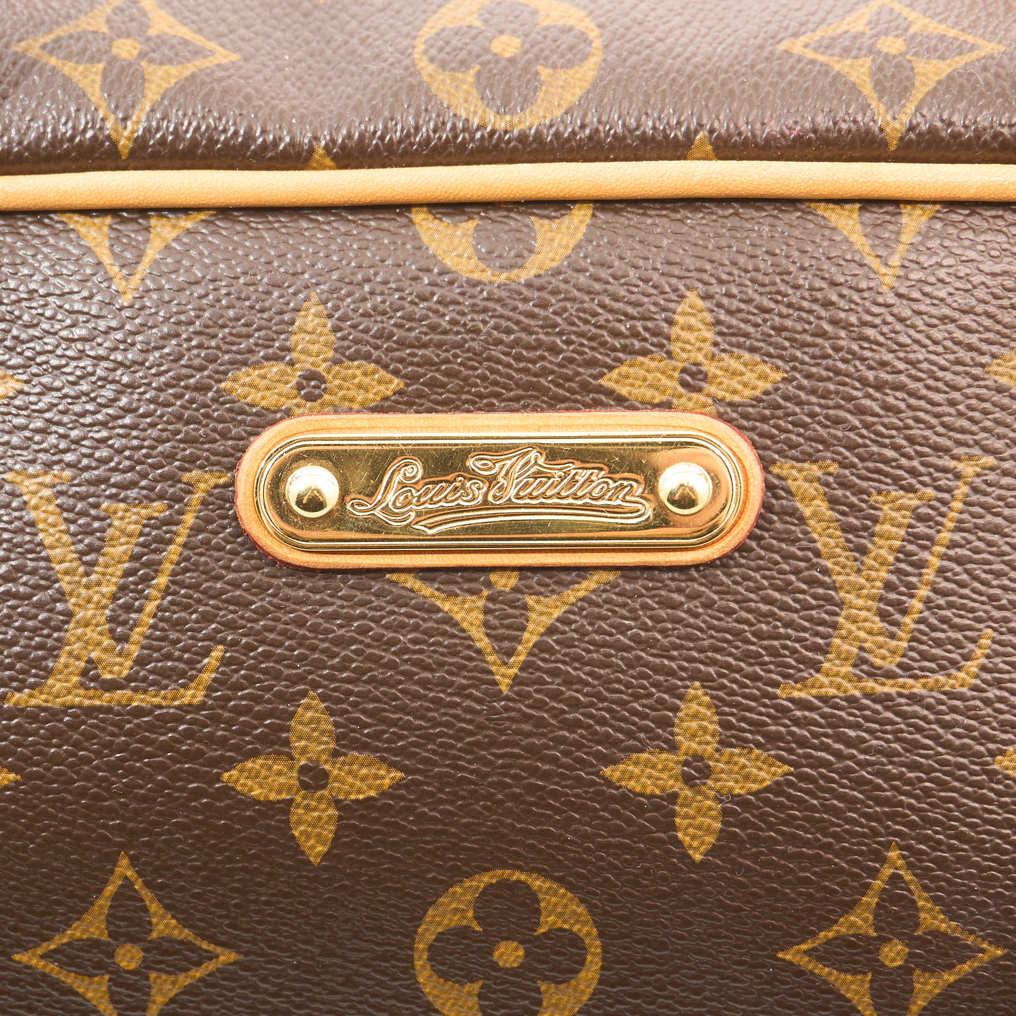 Louis Vuitton Montorgueil GM Monogram Bag