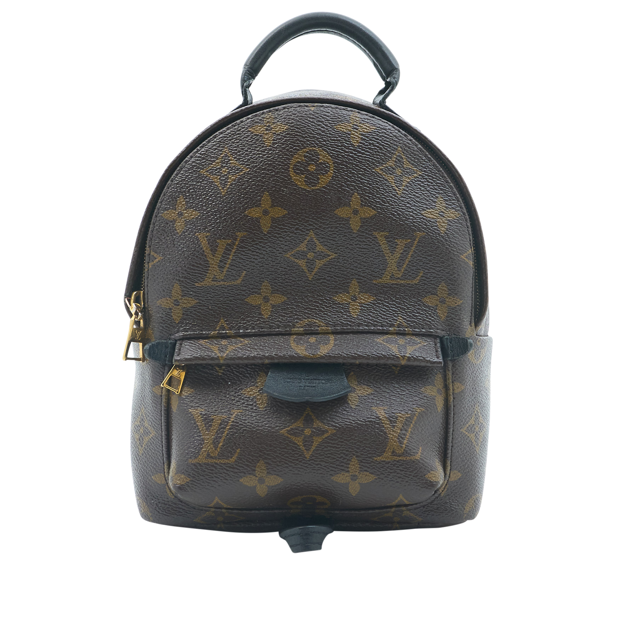 Louis Vuitton Palm Springs Mini Backpack