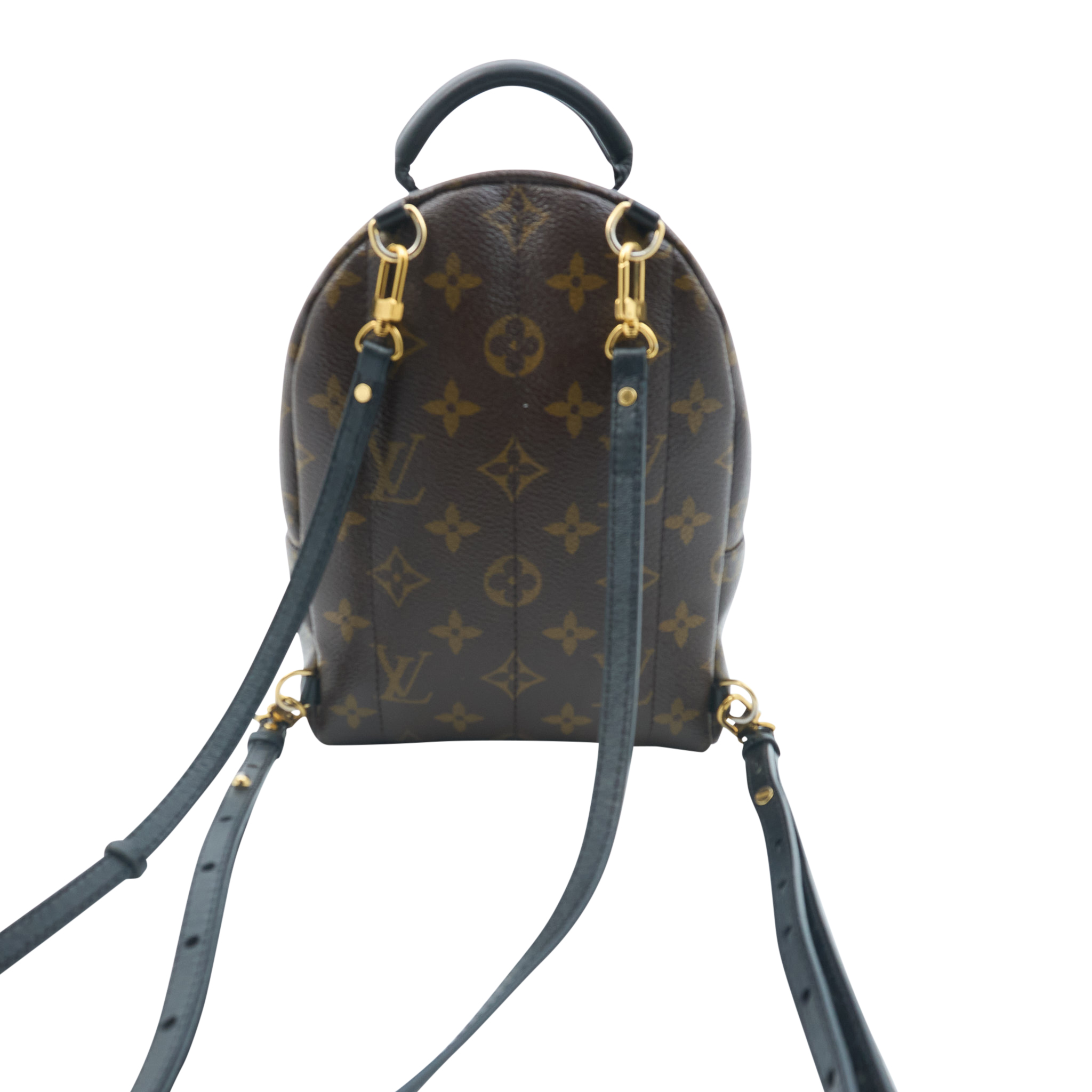 Louis Vuitton Palm Springs Mini Backpack