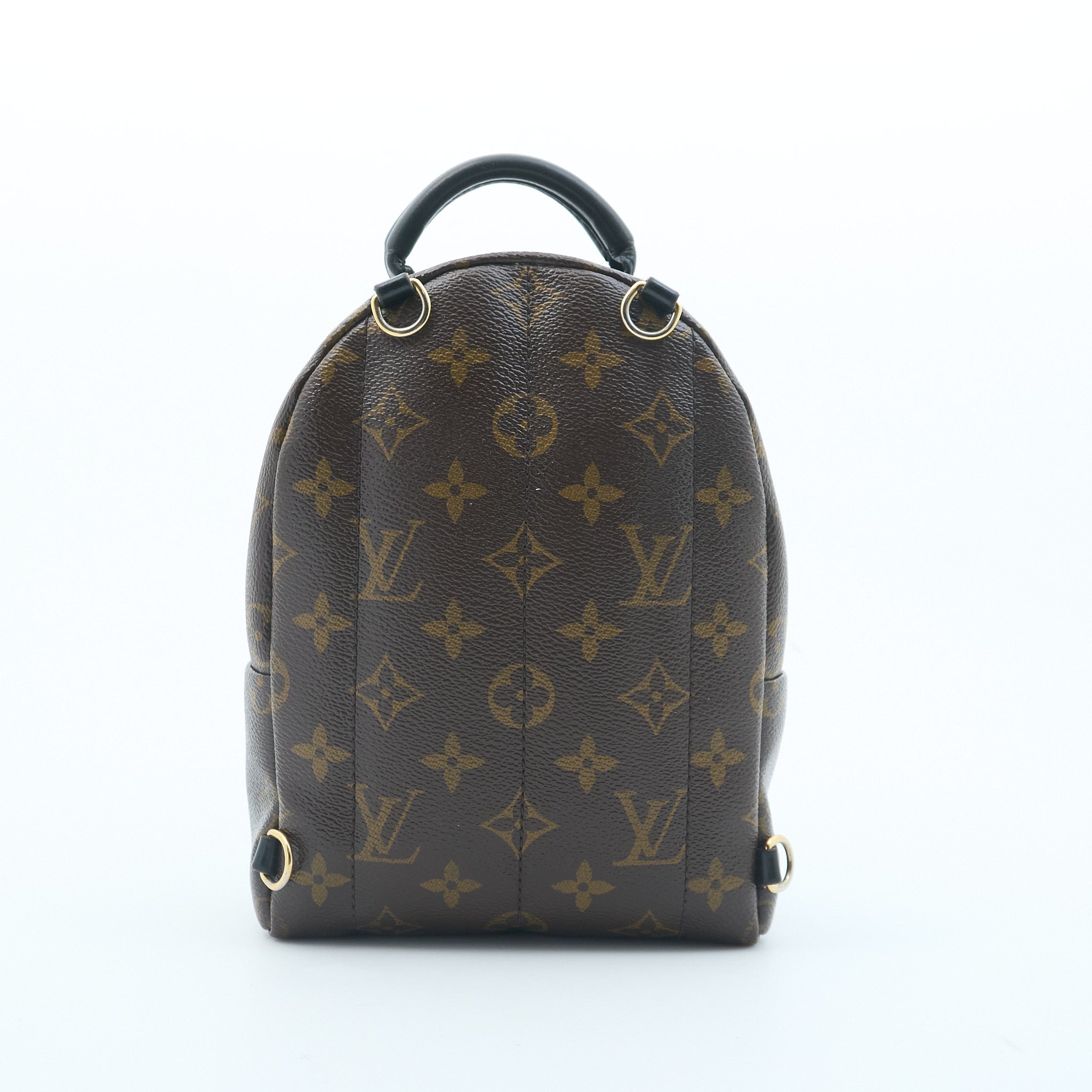 Louis Vuitton Palm Springs Mini Backpack