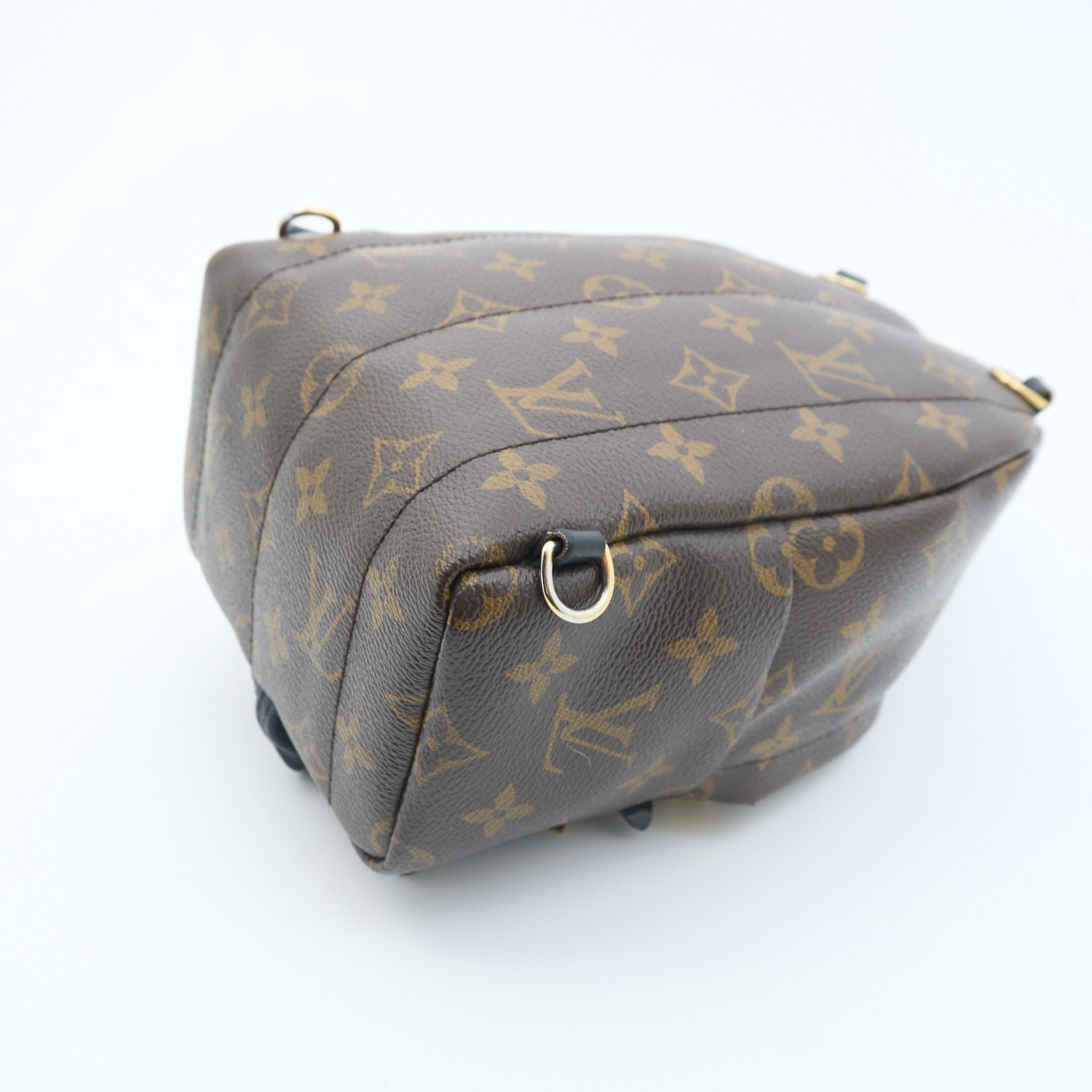 Louis Vuitton Palm Springs Mini Backpack