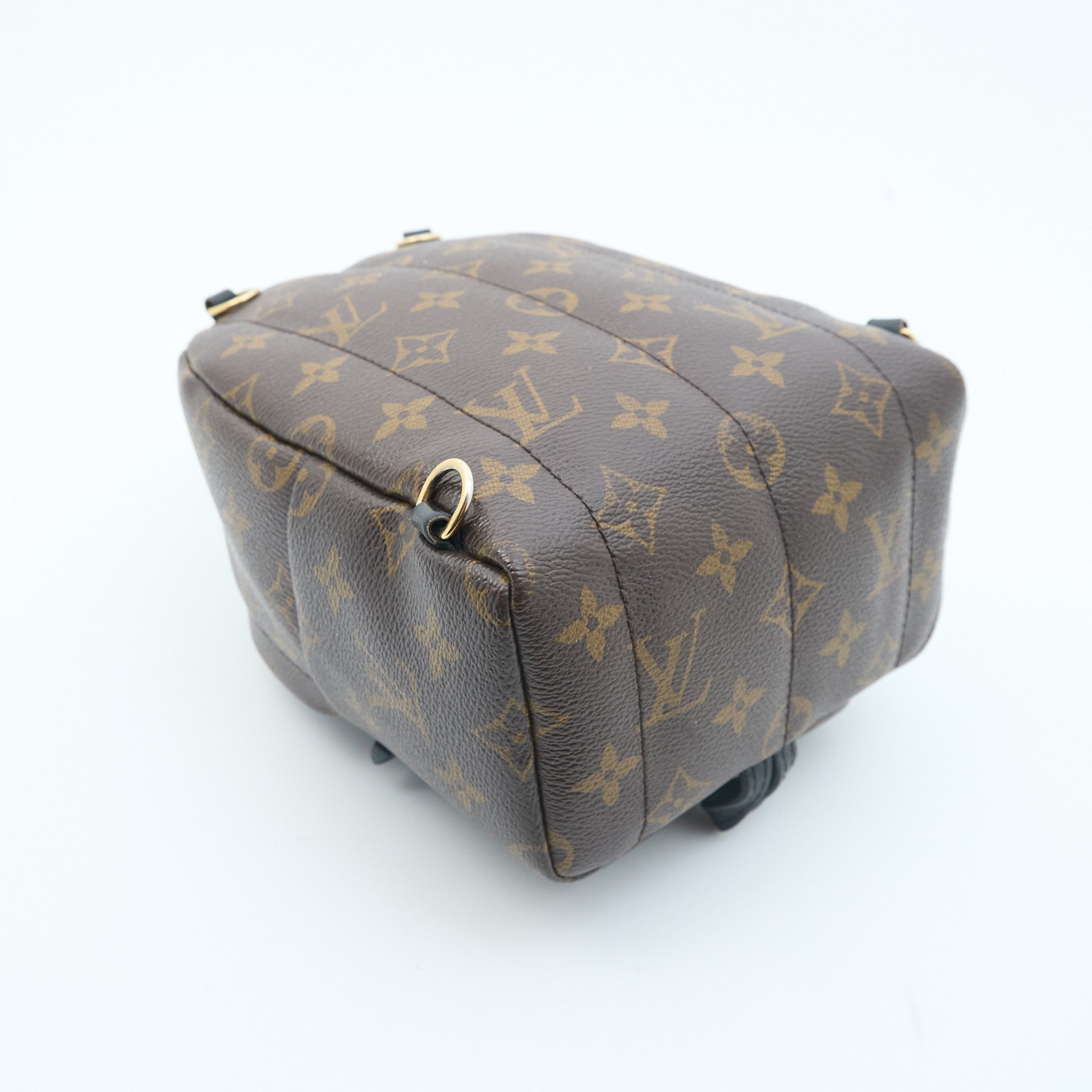 Louis Vuitton Palm Springs Mini Backpack
