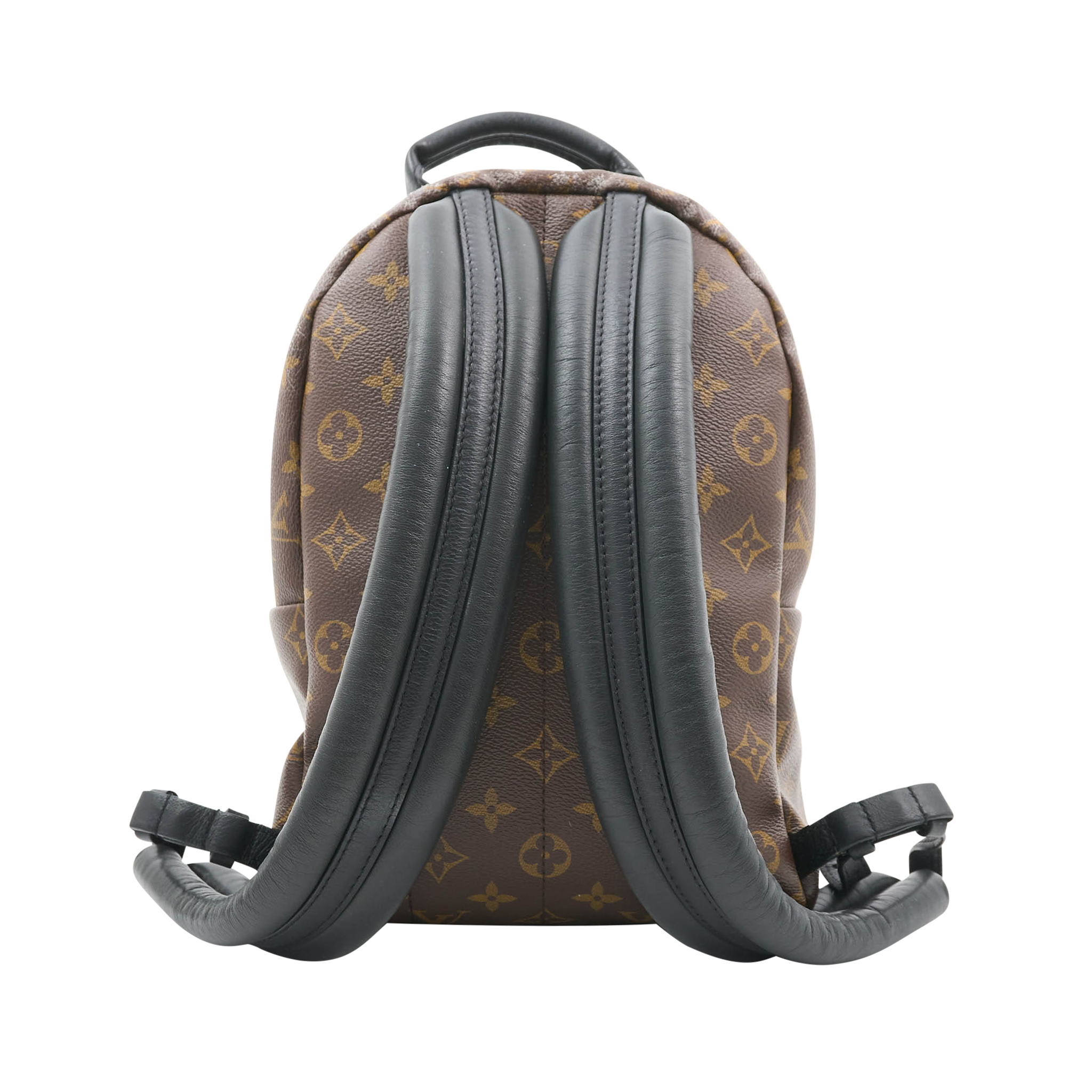 Louis Vuitton Palm Springs MM Backpack