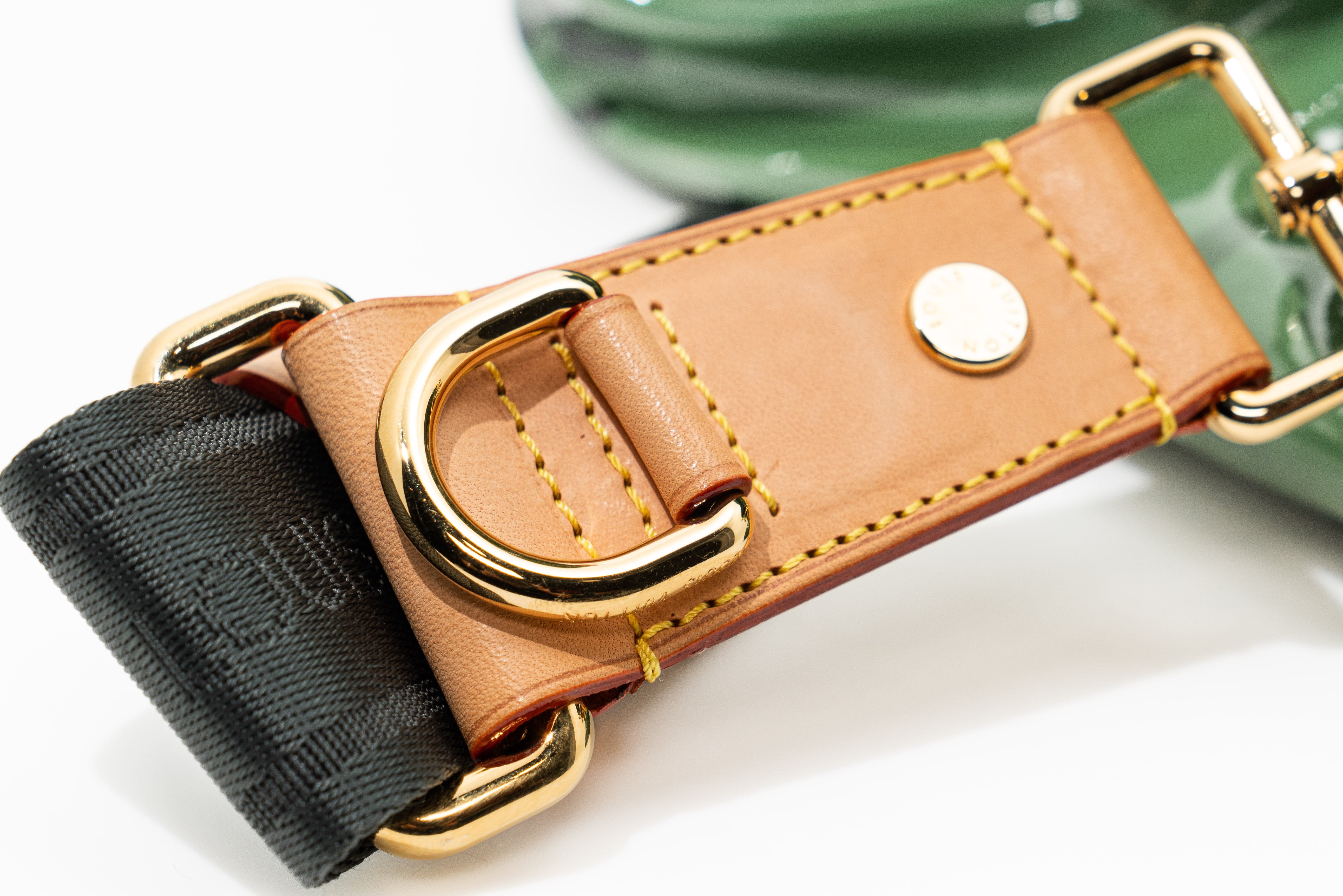 Louis Vuitton Patent Raindrop Besace in Green