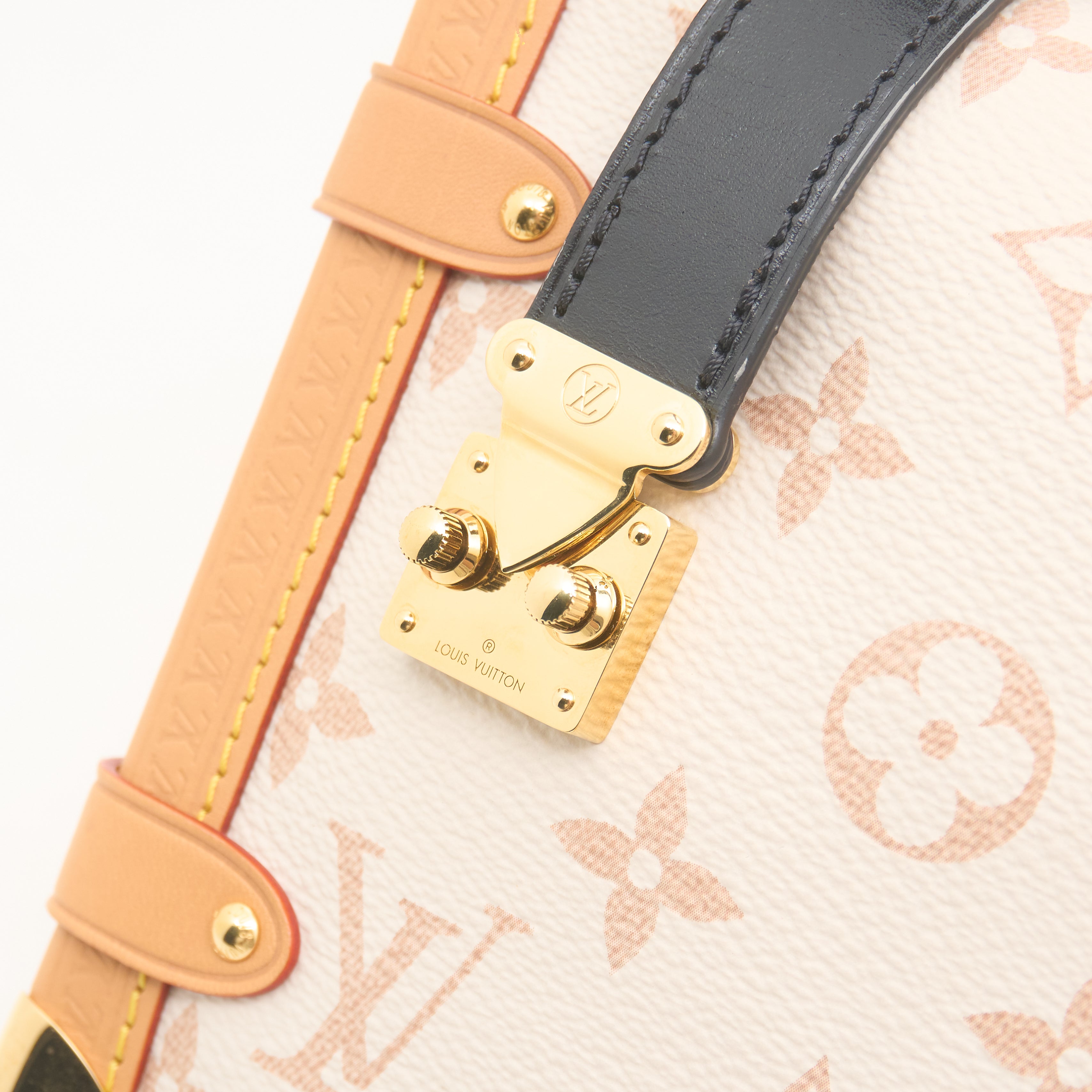 Louis Vuitton Side Trunk MM Handbag