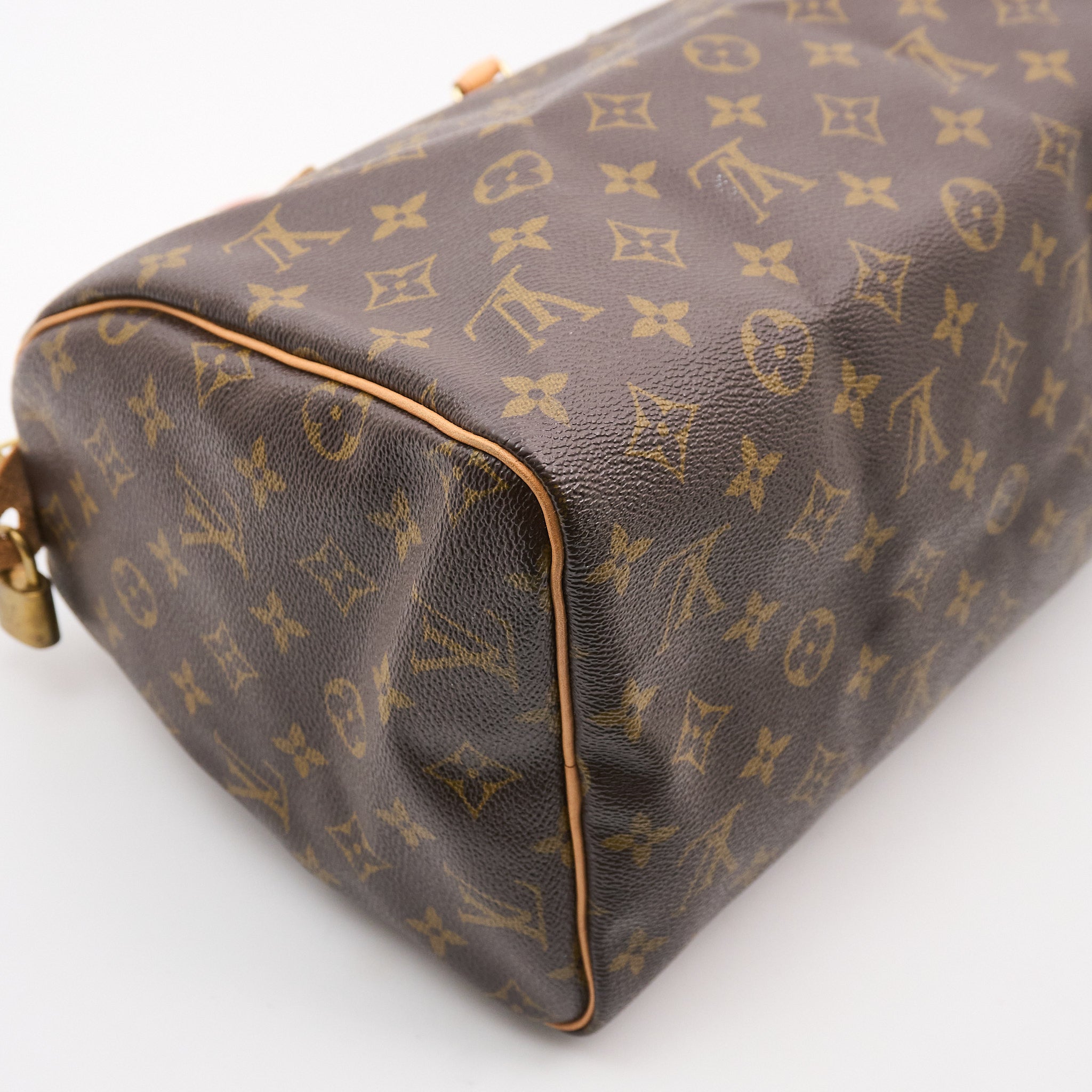 Louis Vuitton Monogram Speedy 30 Bag