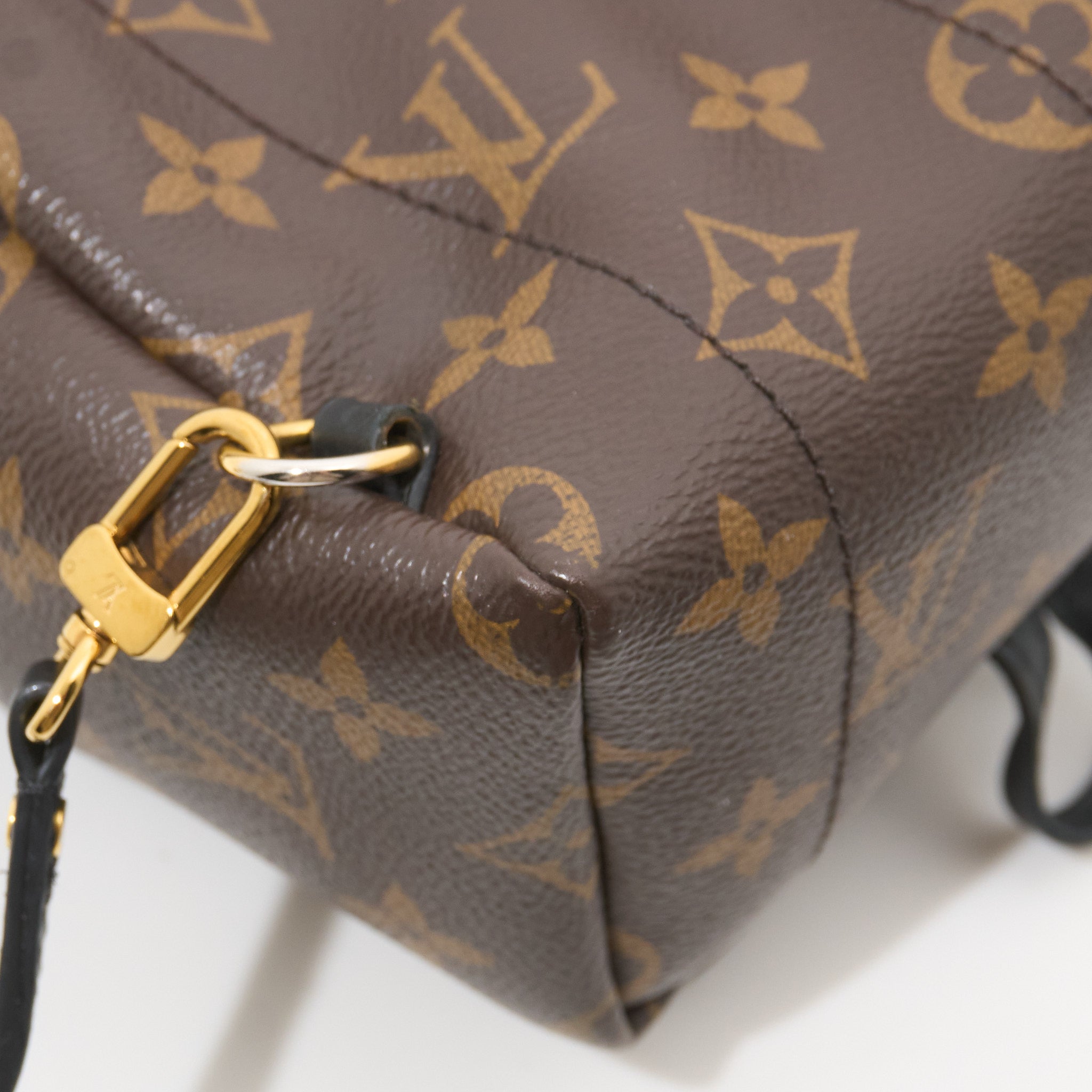 Louis Vuitton Palm Springs Mini Backpack