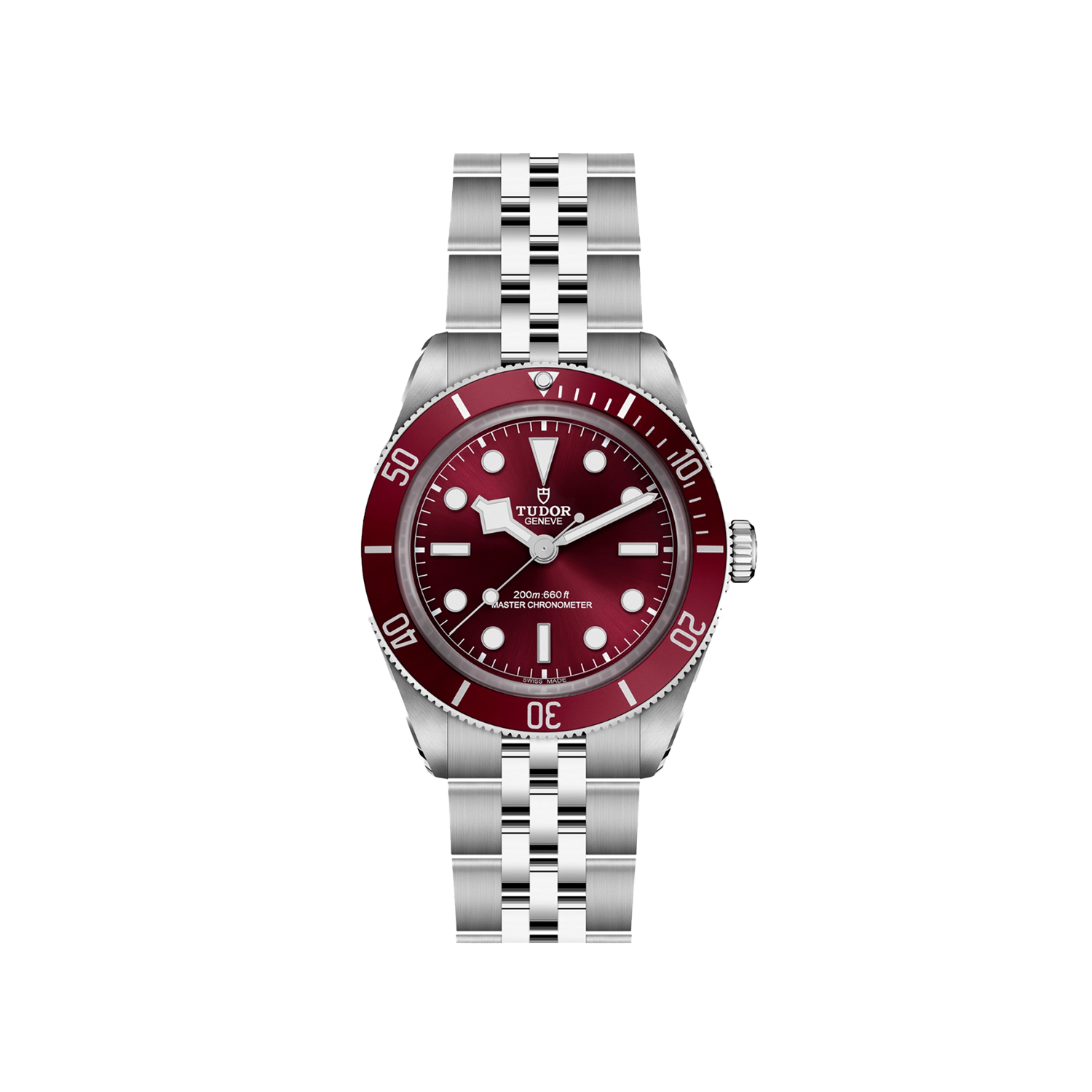Tudor Black Bay 39 Burgundy Watch