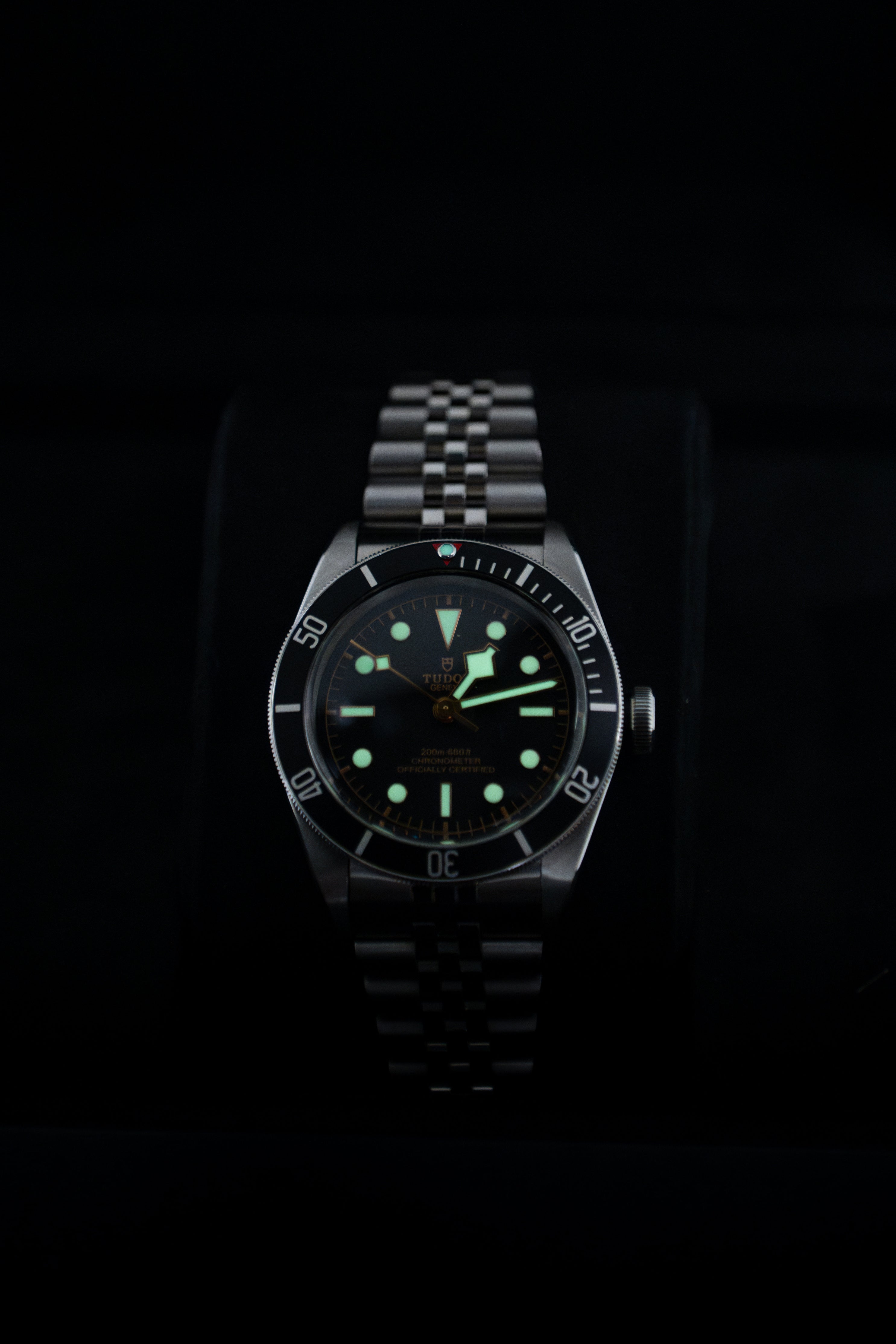 Tudor Black Bay 79230N