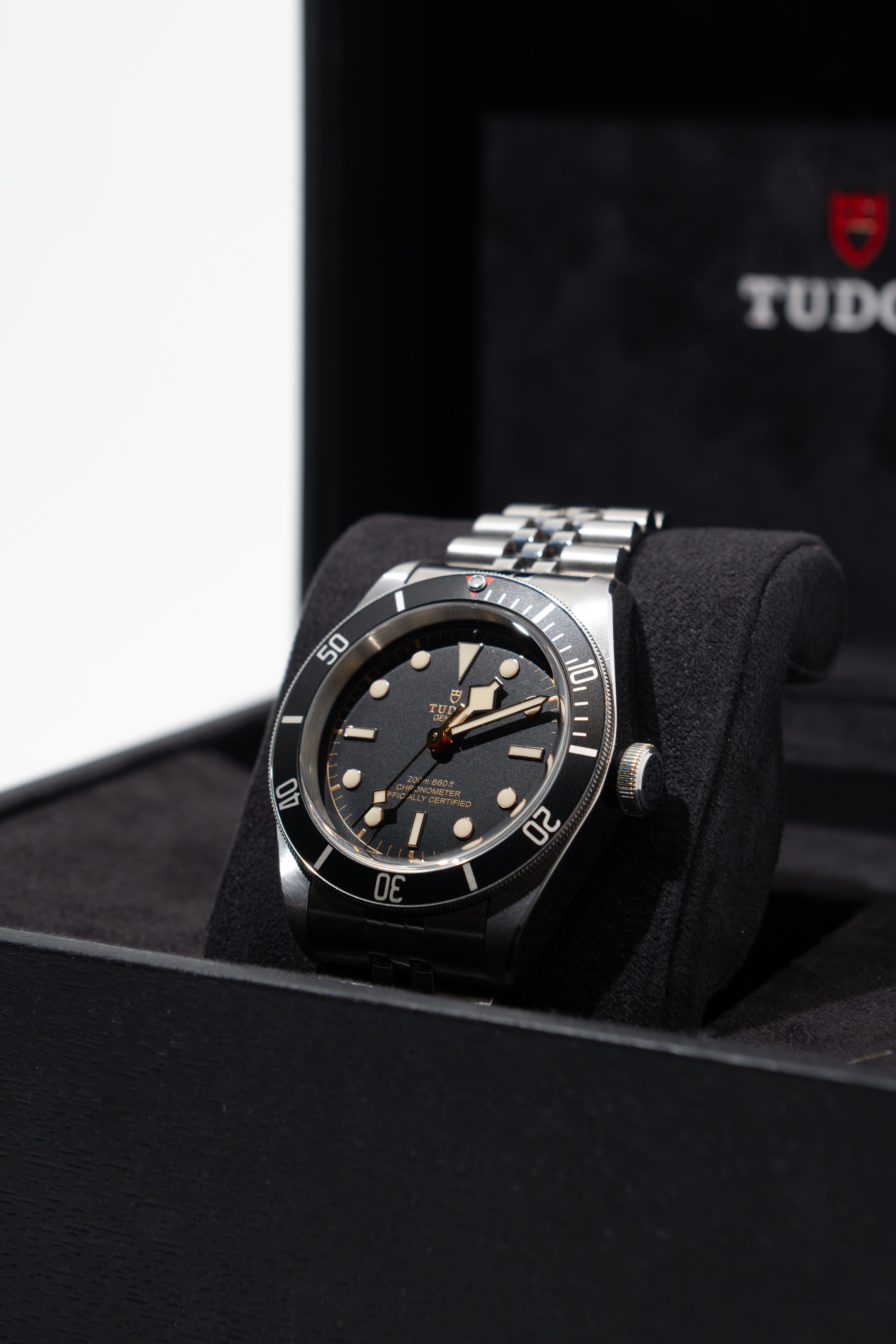 Tudor Black Bay 79230N