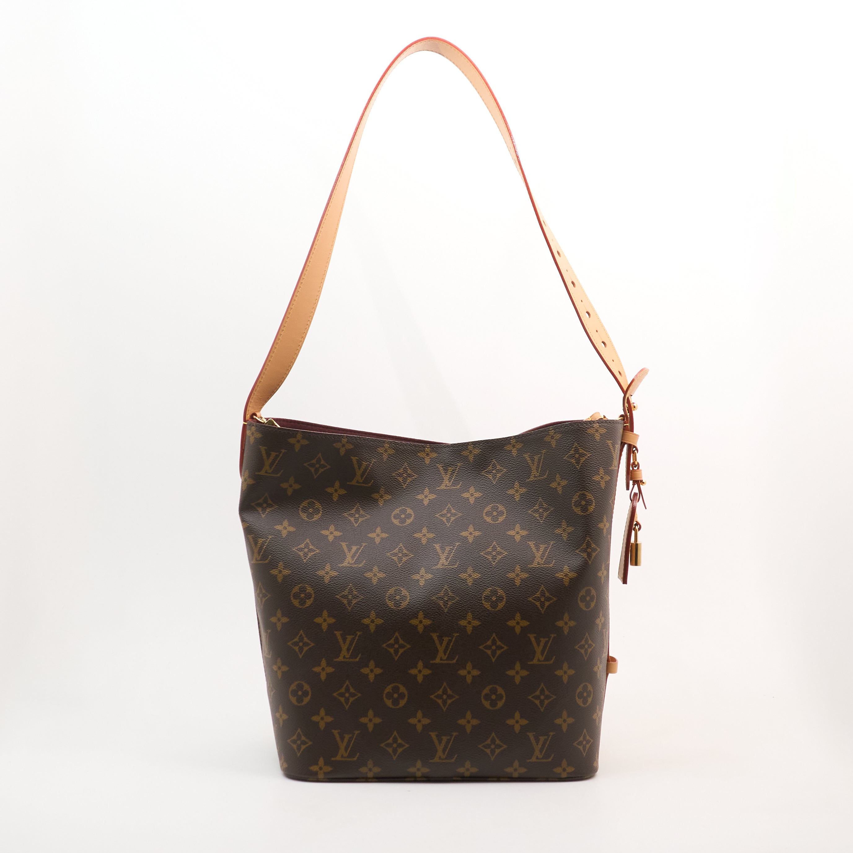 Louis Vuitton Monogram All In Bag