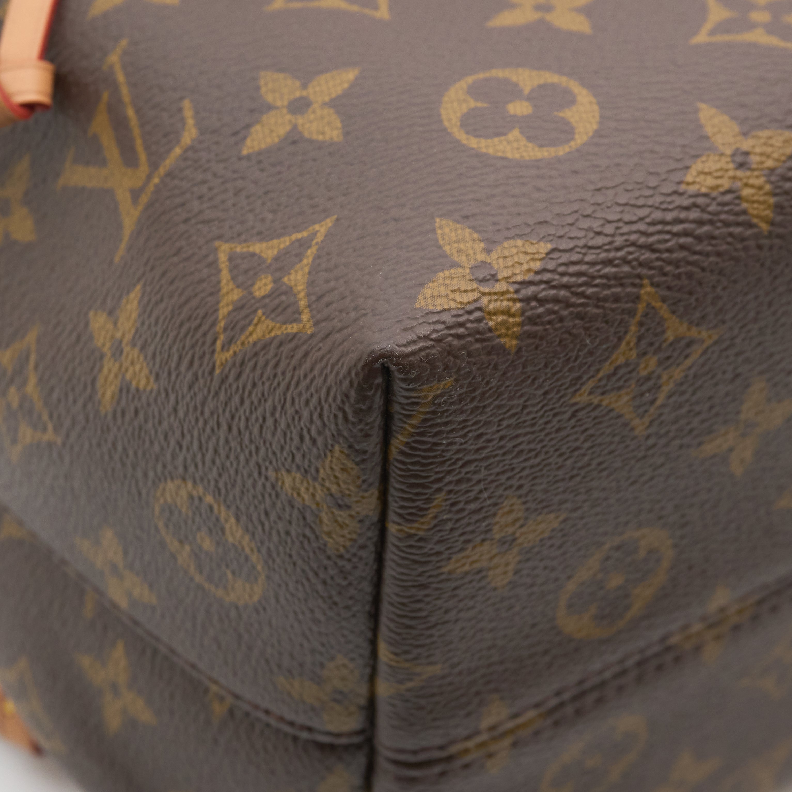 Louis Vuitton Montsouris Backpack
