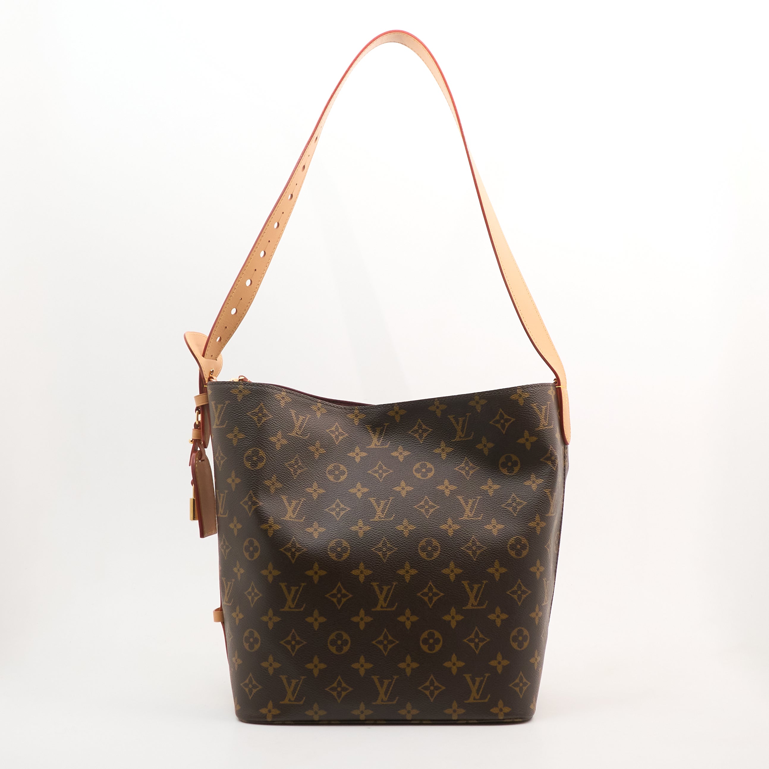 Louis Vuitton Monogram All In Bag