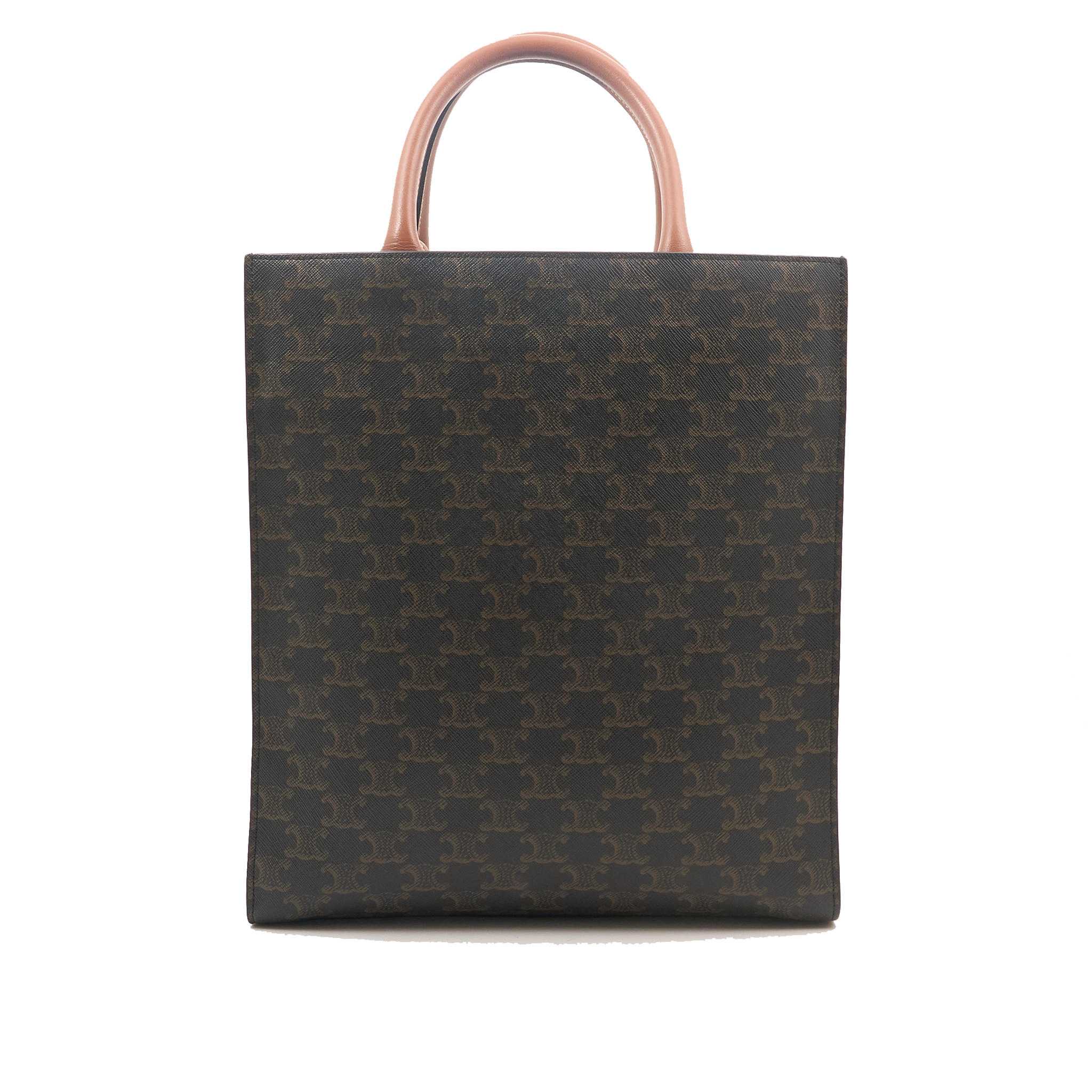 Celine Vertical Cabas Tote Bag in Triomphe Canvas