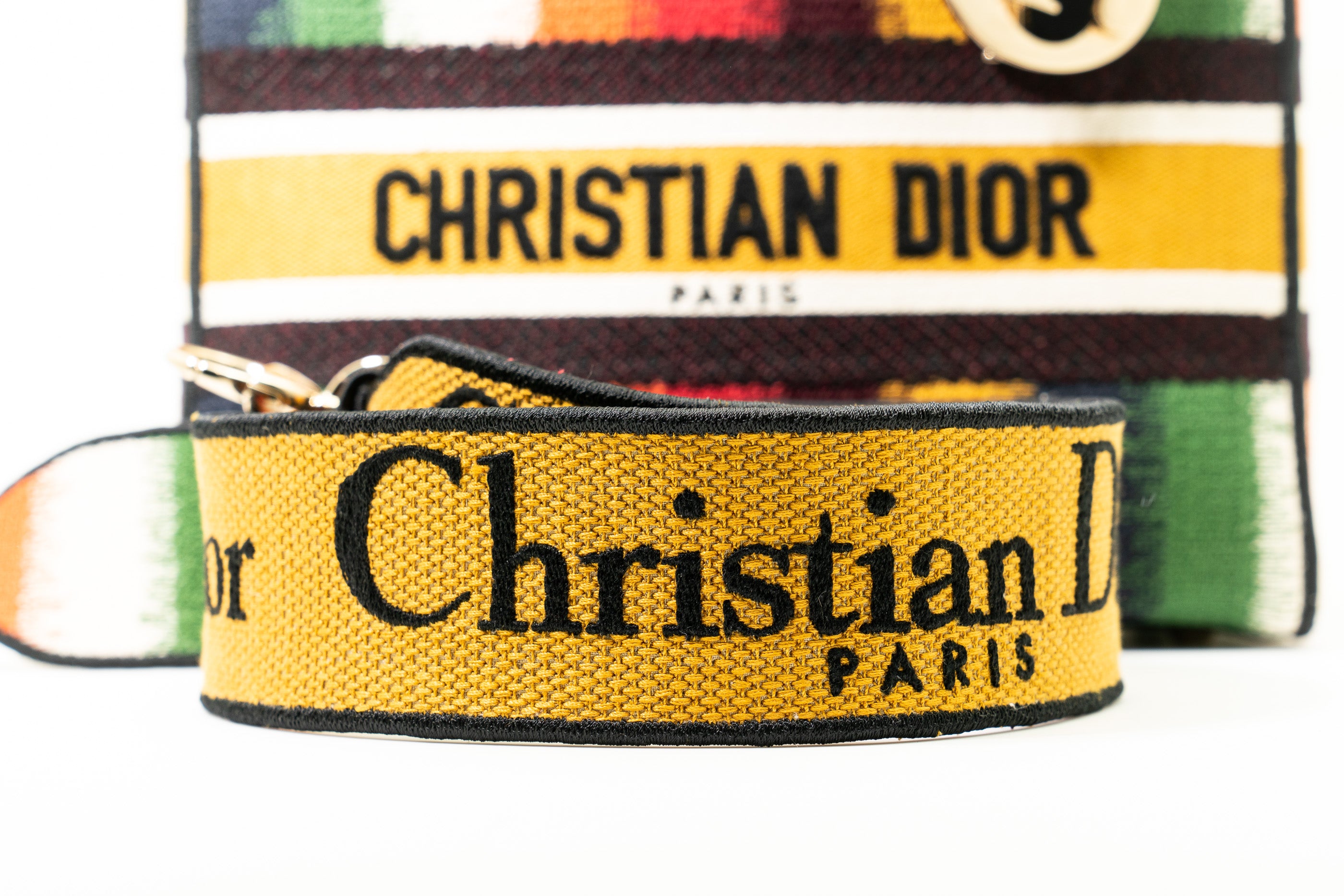 Christian Dior Canvas Lady D-Lite Bag in Rainbow GHW