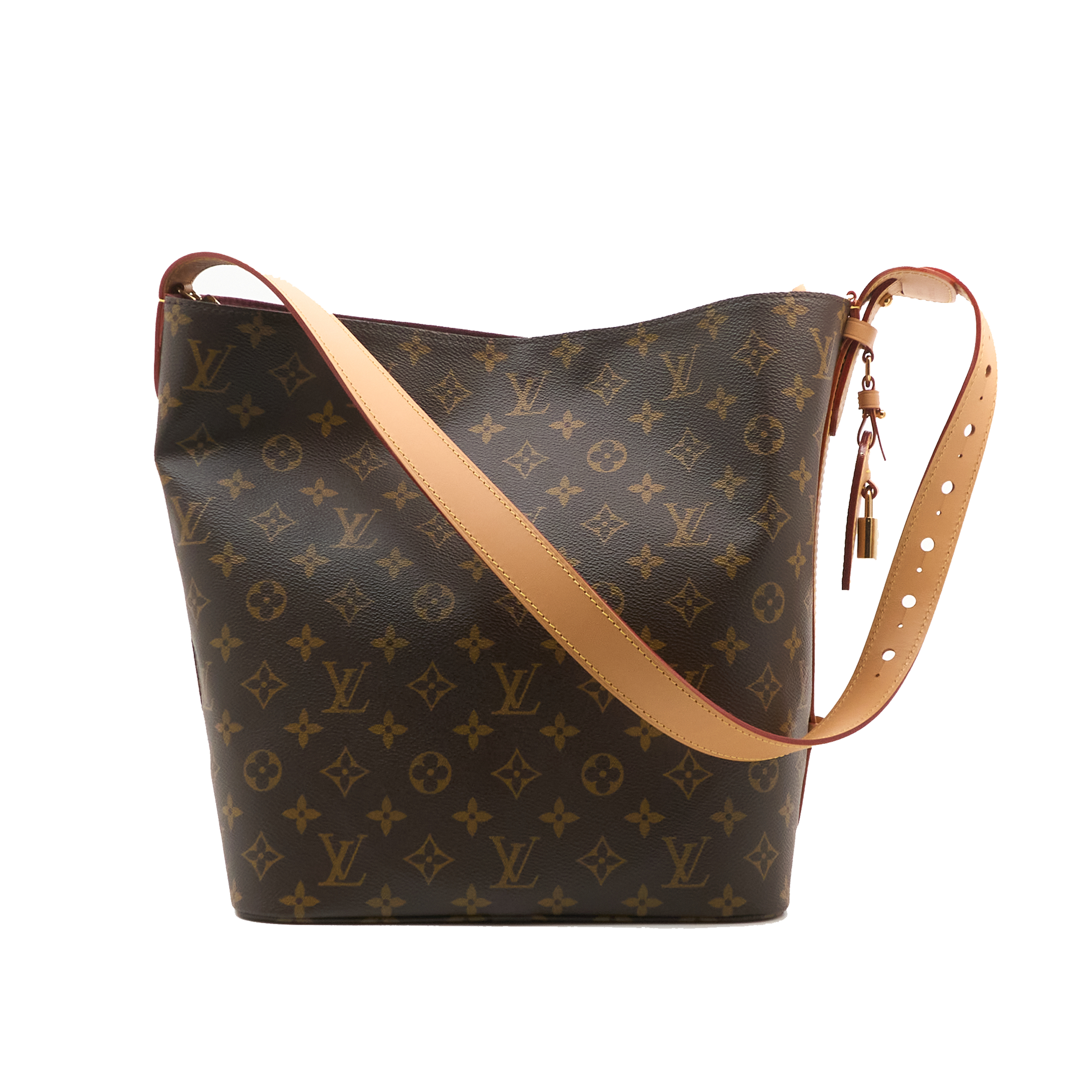 Louis Vuitton Monogram All In Bag