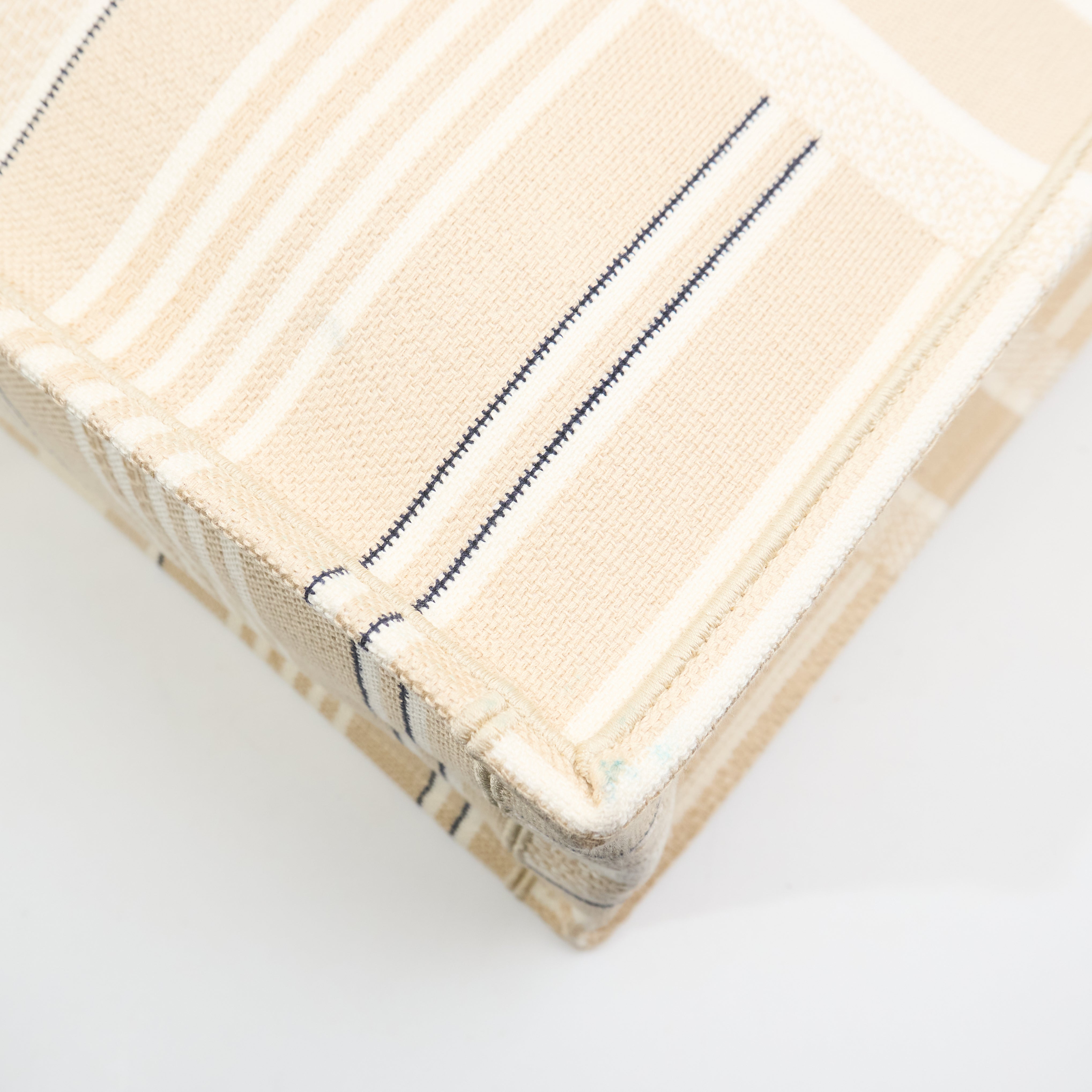 Christian Dior Book Tote GM