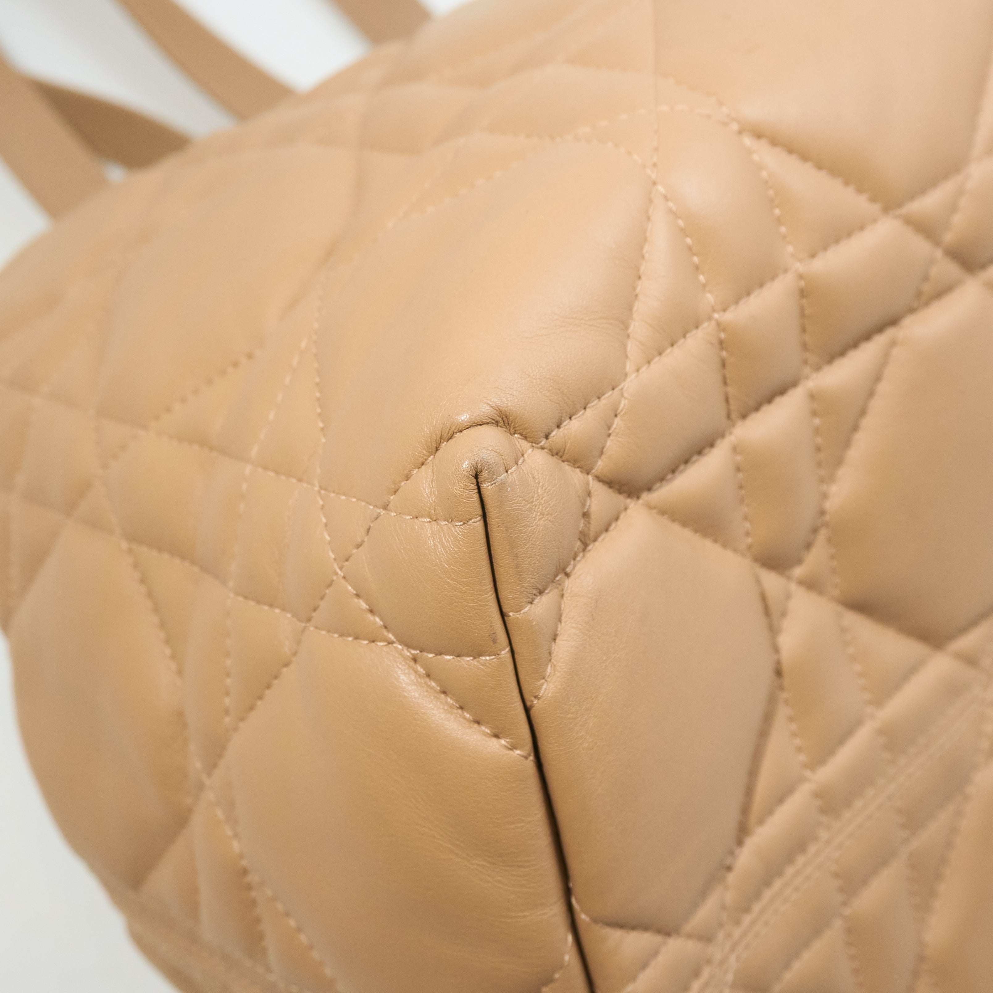 Dior Toujours Beige Tote Bag