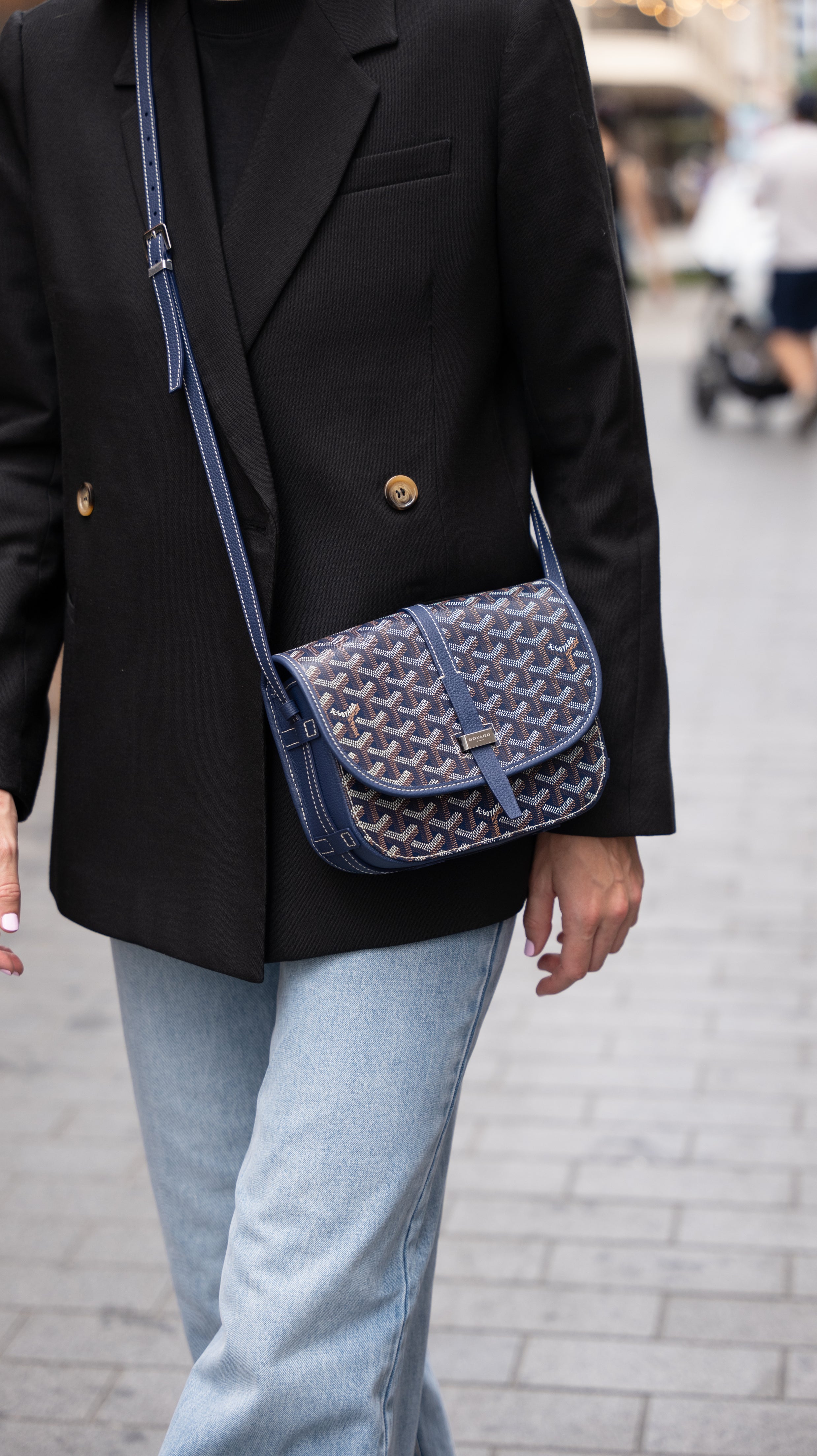 Goyard Belvedere PM Bag