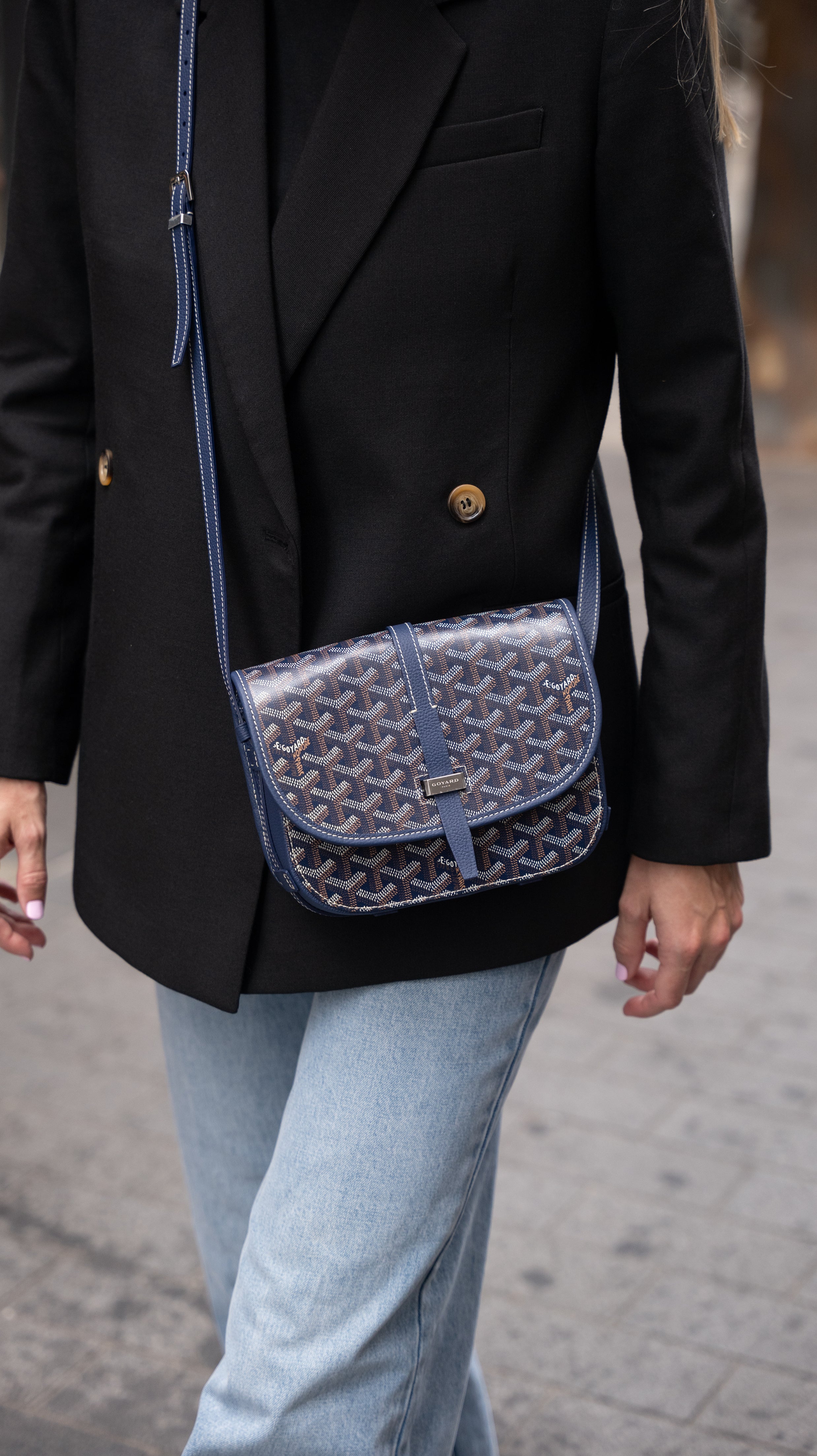Goyard Belvedere PM Bag