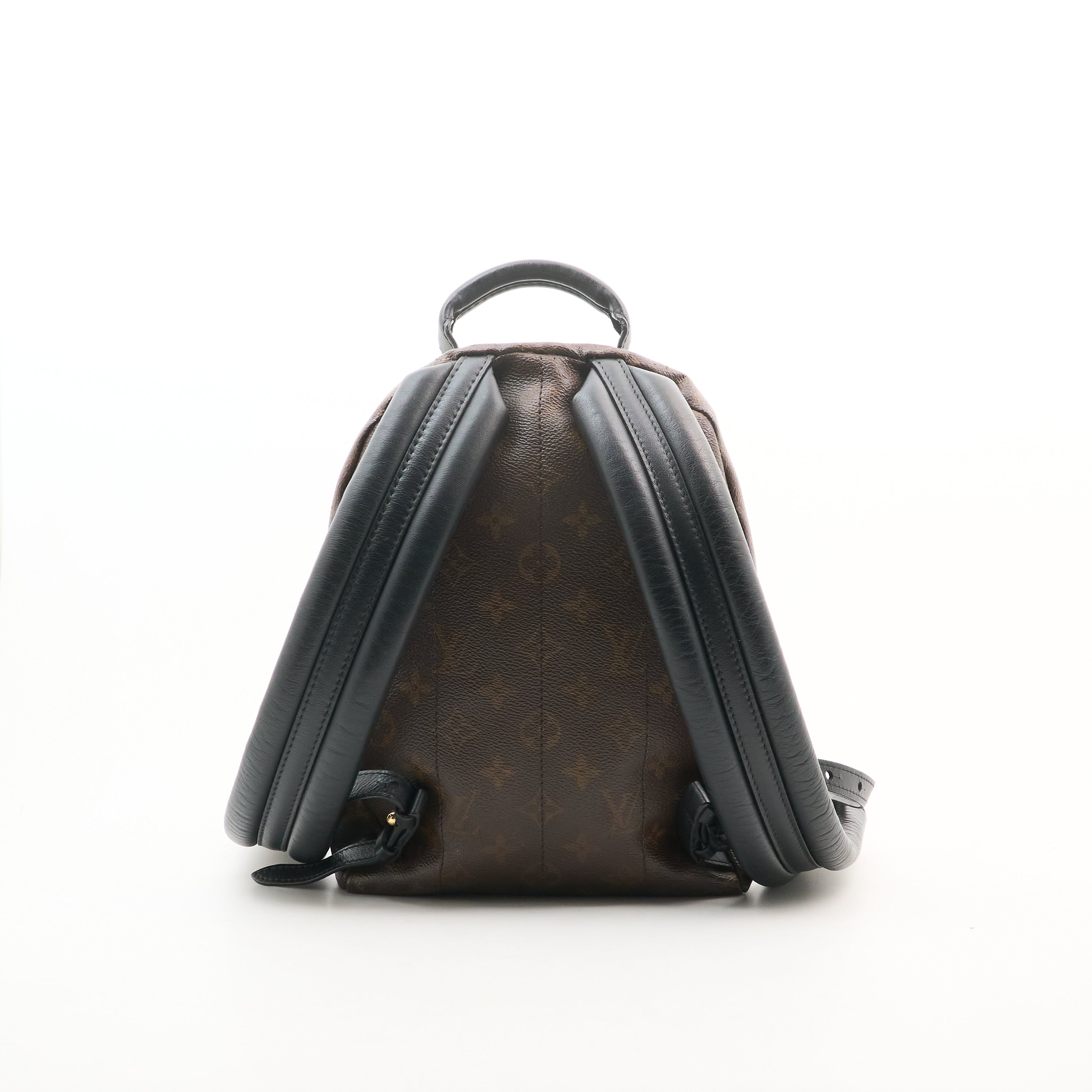 Louis Vuitton Monogram Reverse Palm Springs Backpack