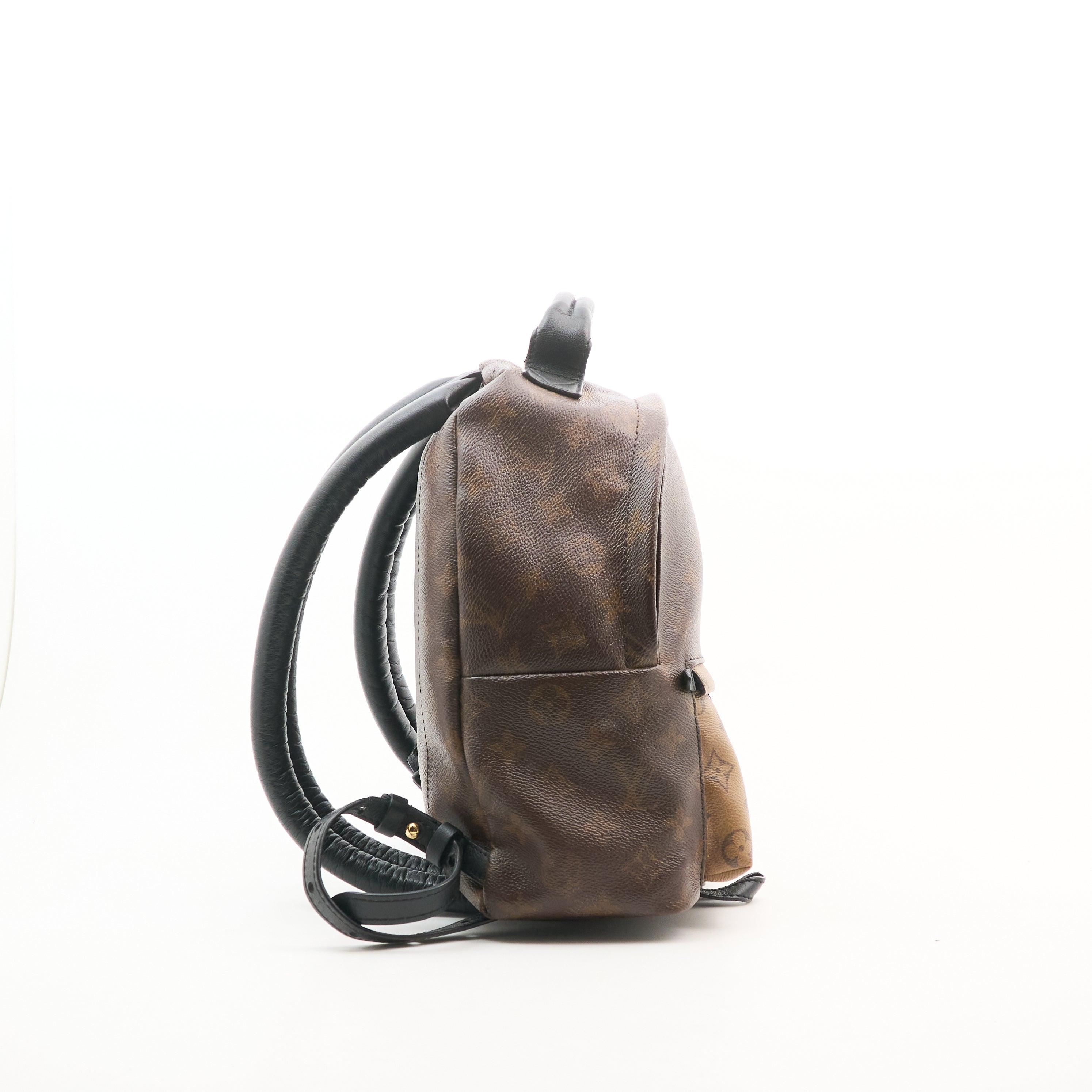 Louis Vuitton Monogram Reverse Palm Springs Backpack