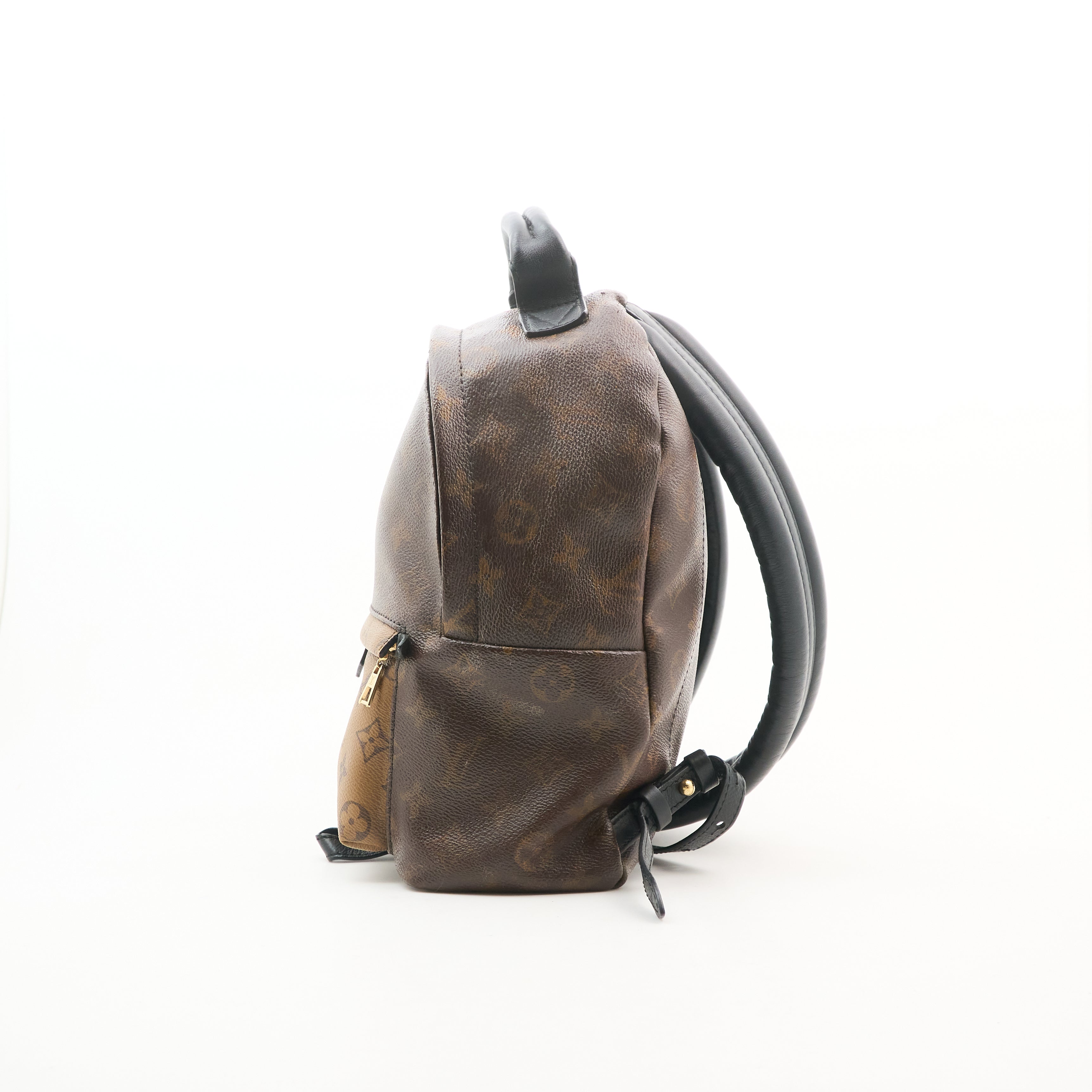 Louis Vuitton Monogram Reverse Palm Springs Backpack