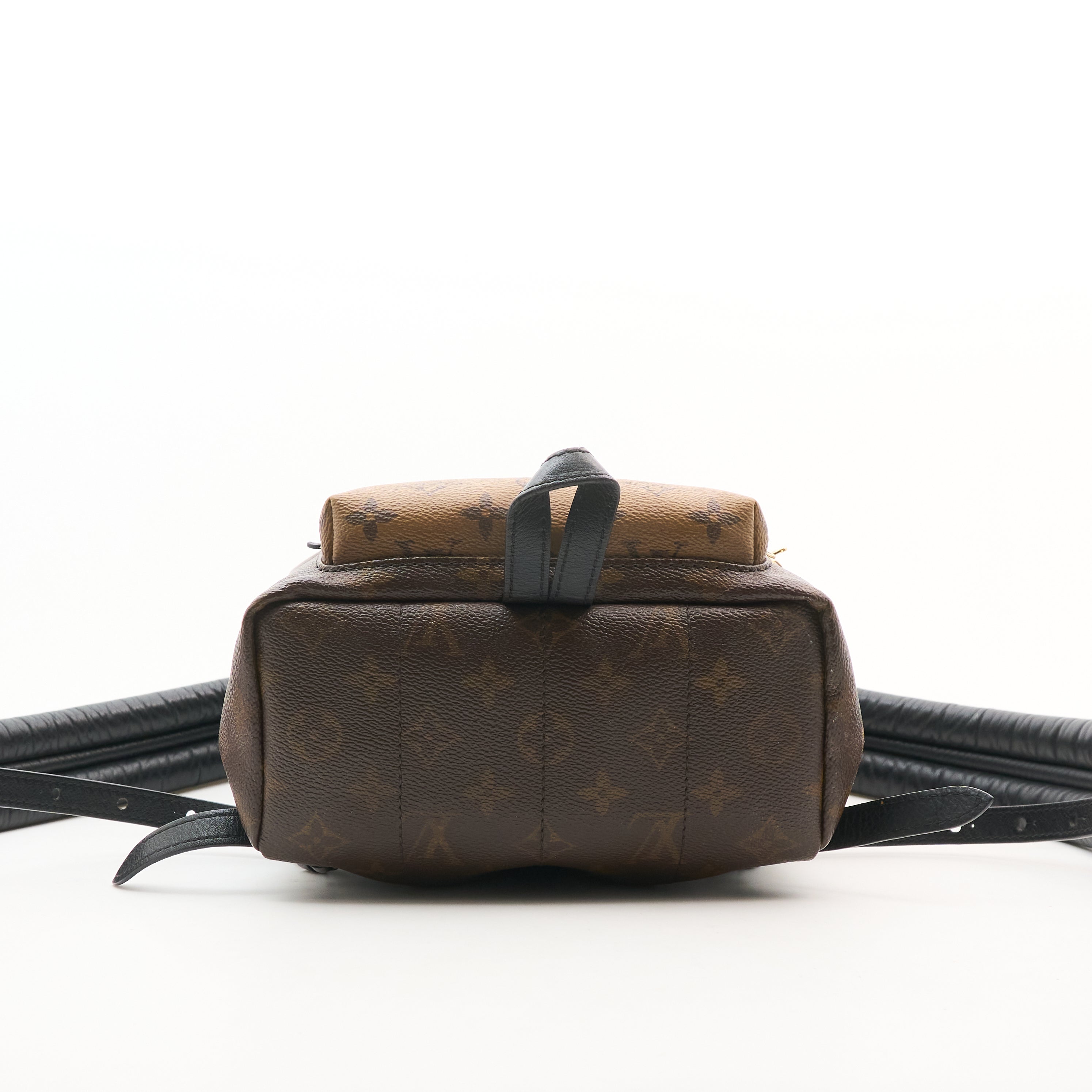 Louis Vuitton Monogram Reverse Palm Springs Backpack