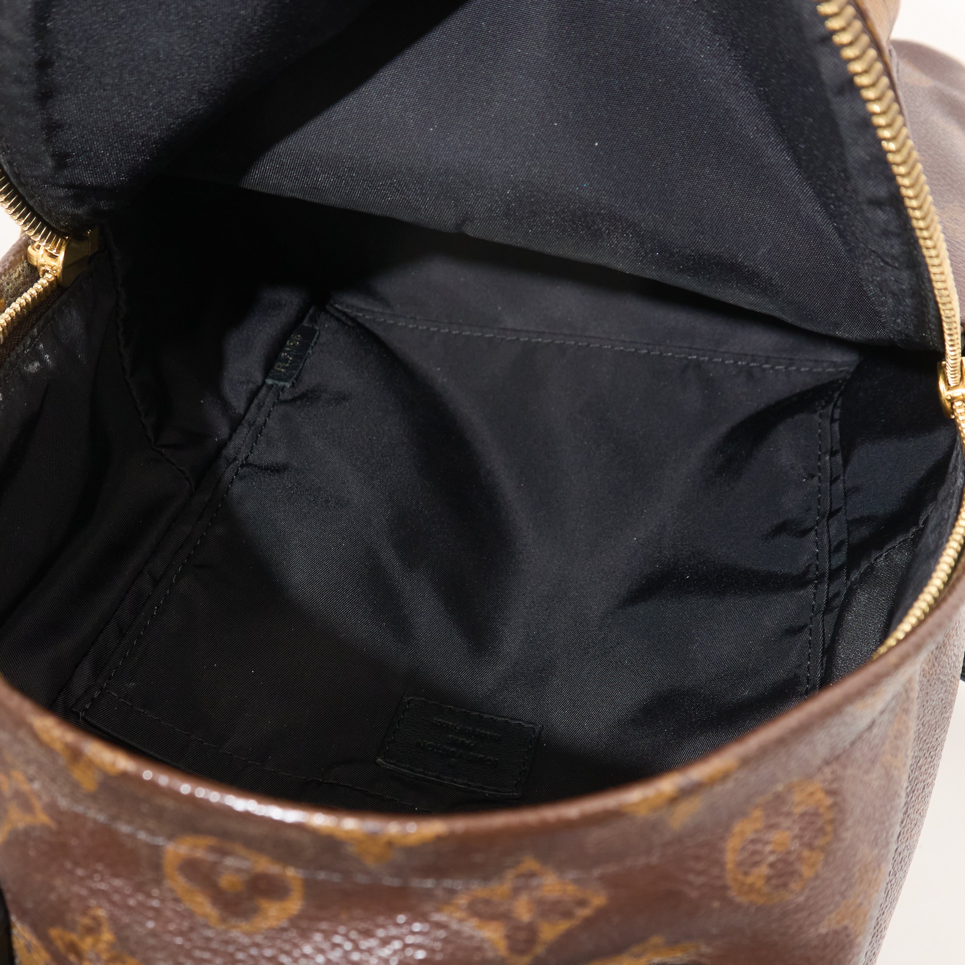 Louis Vuitton Monogram Reverse Palm Springs Backpack