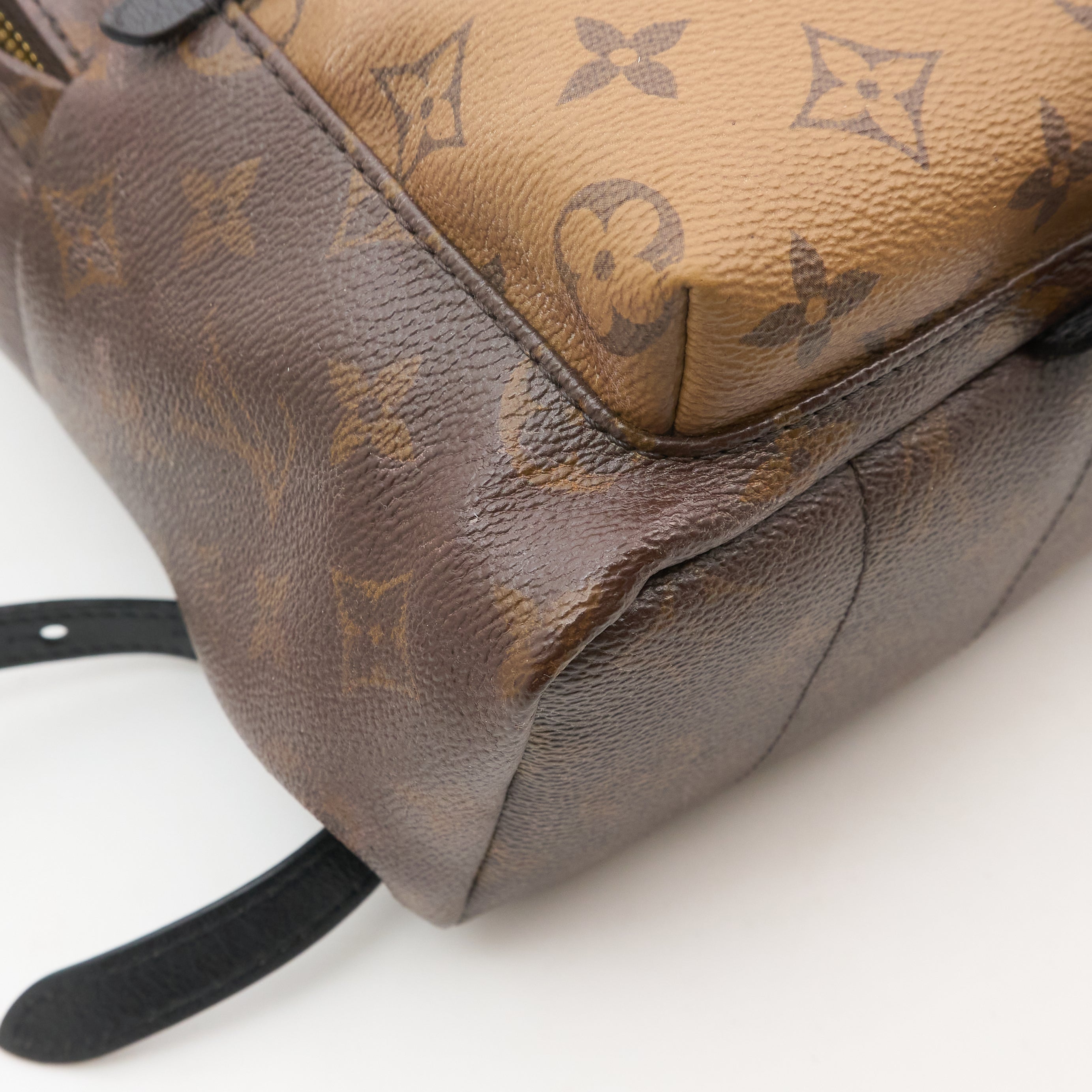 Louis Vuitton Monogram Reverse Palm Springs Backpack