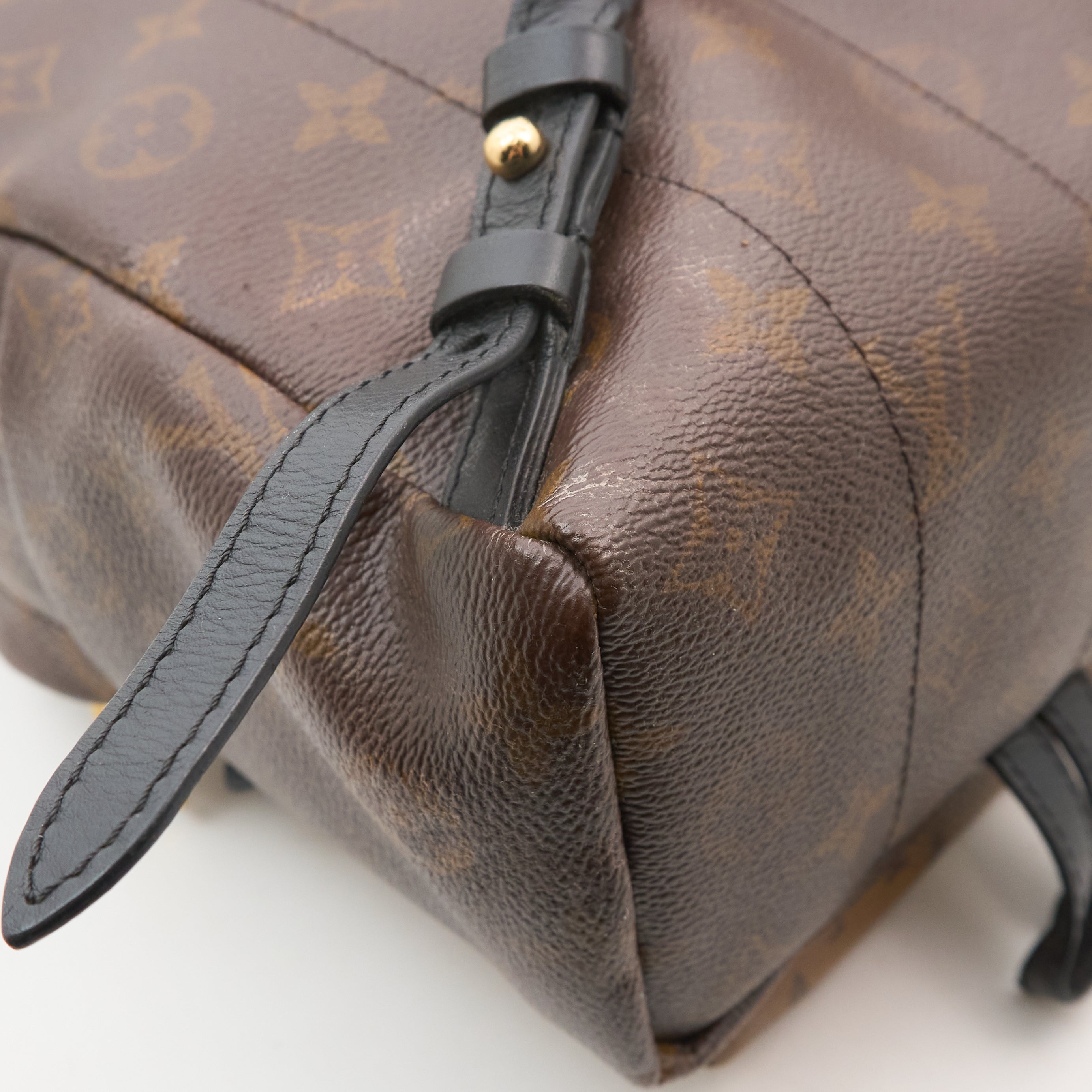 Louis Vuitton Monogram Reverse Palm Springs Backpack