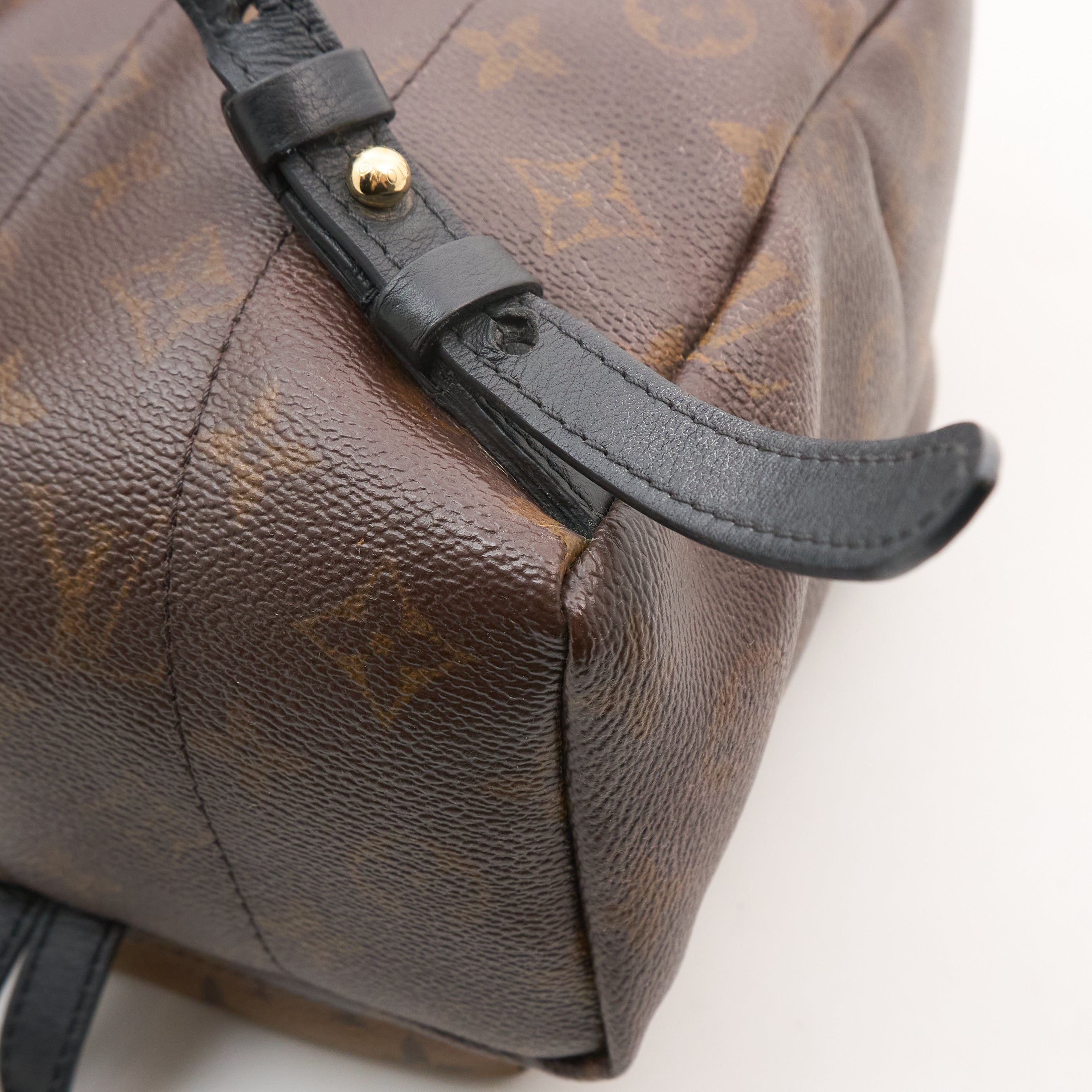 Louis Vuitton Monogram Reverse Palm Springs Backpack