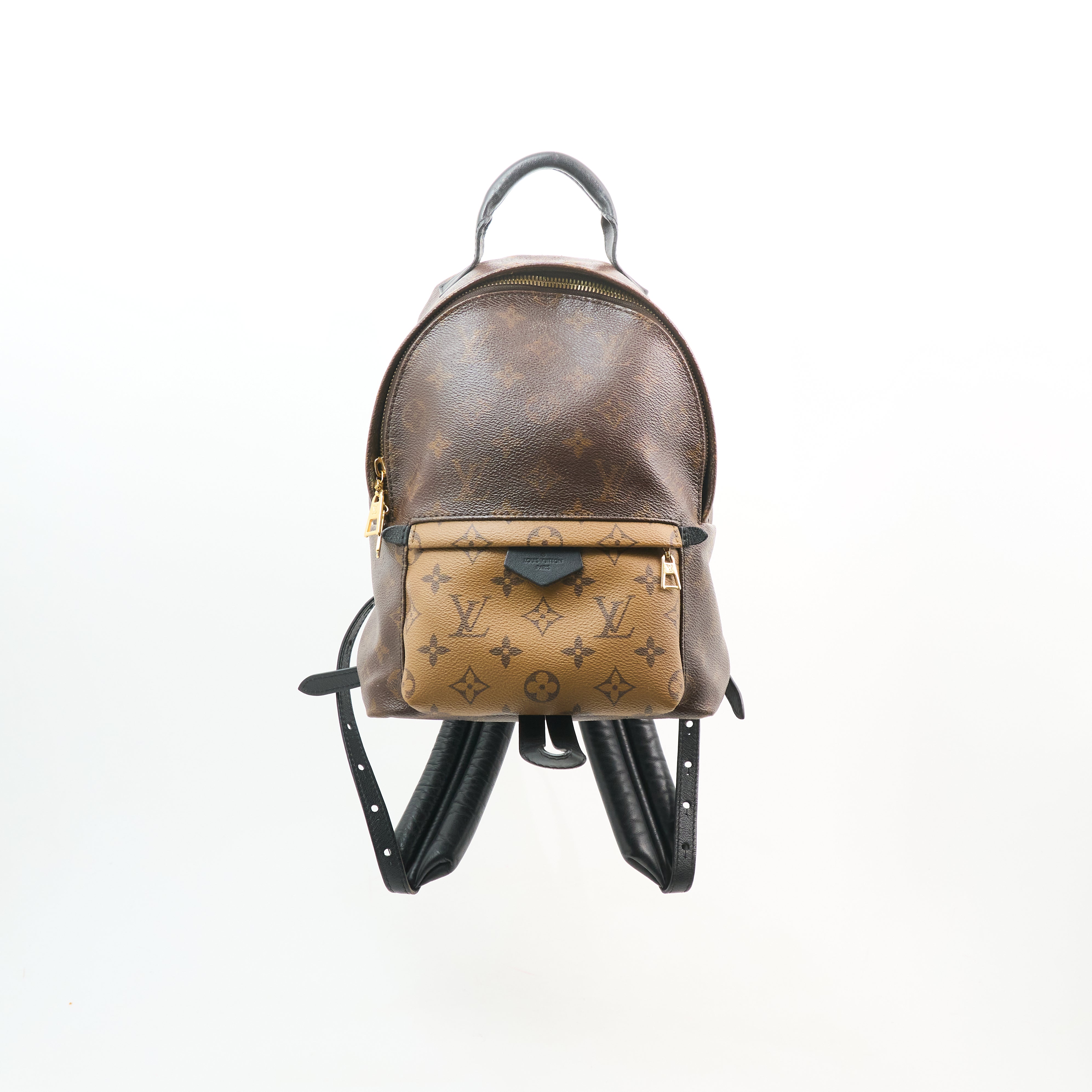 Louis Vuitton Monogram Reverse Palm Springs Backpack