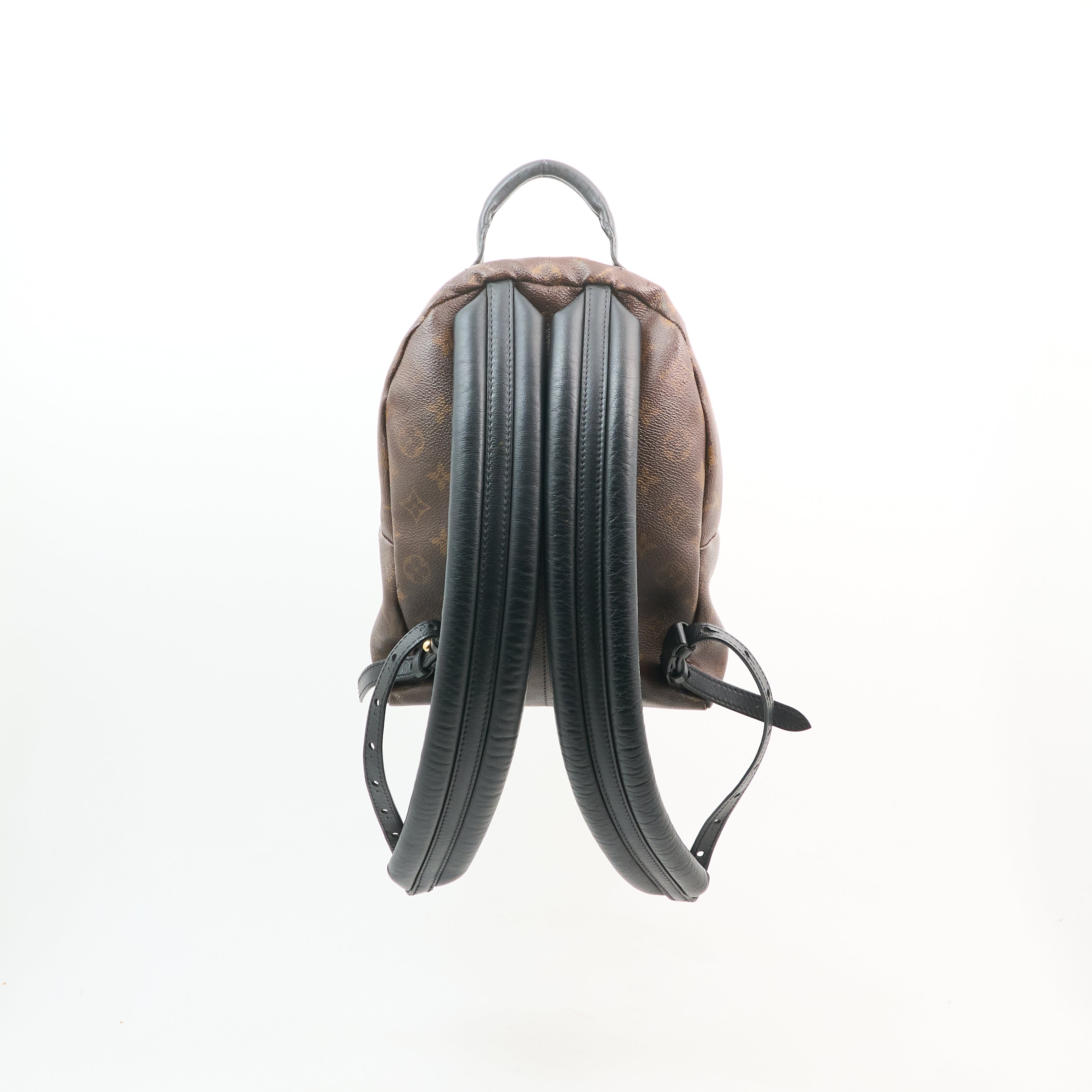 Louis Vuitton Monogram Reverse Palm Springs Backpack