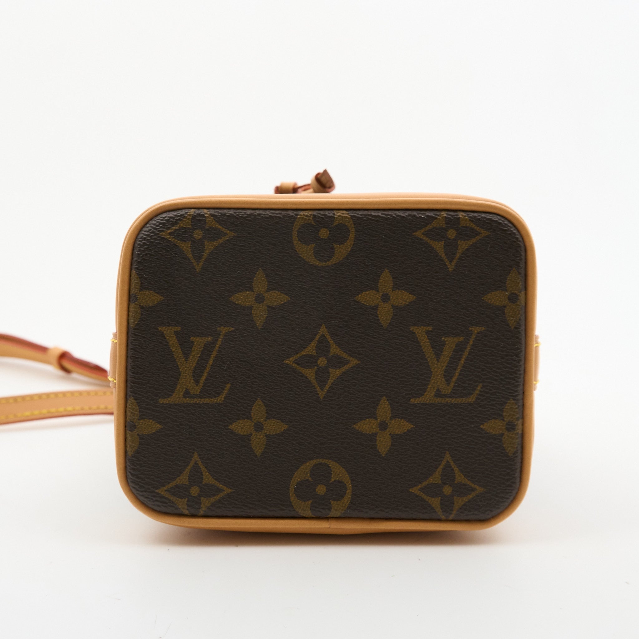 Louis Vuitton Monogram Neo Nano Bucket Bag