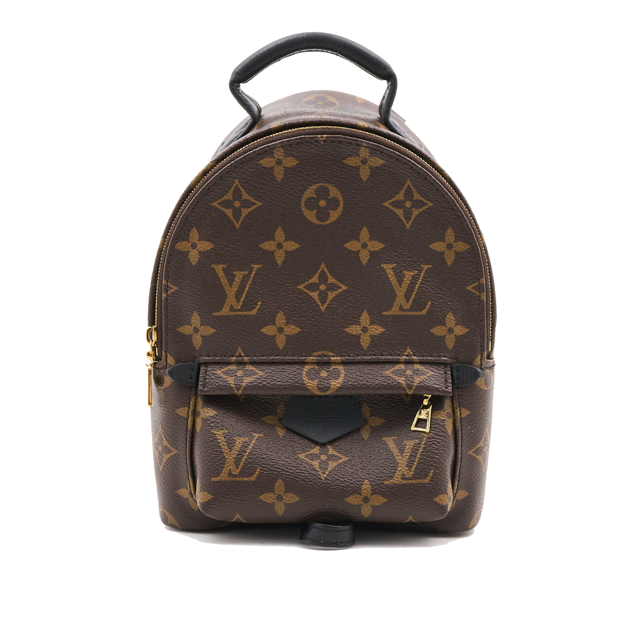 Louis Vuitton Palm Springs Mini Backpack