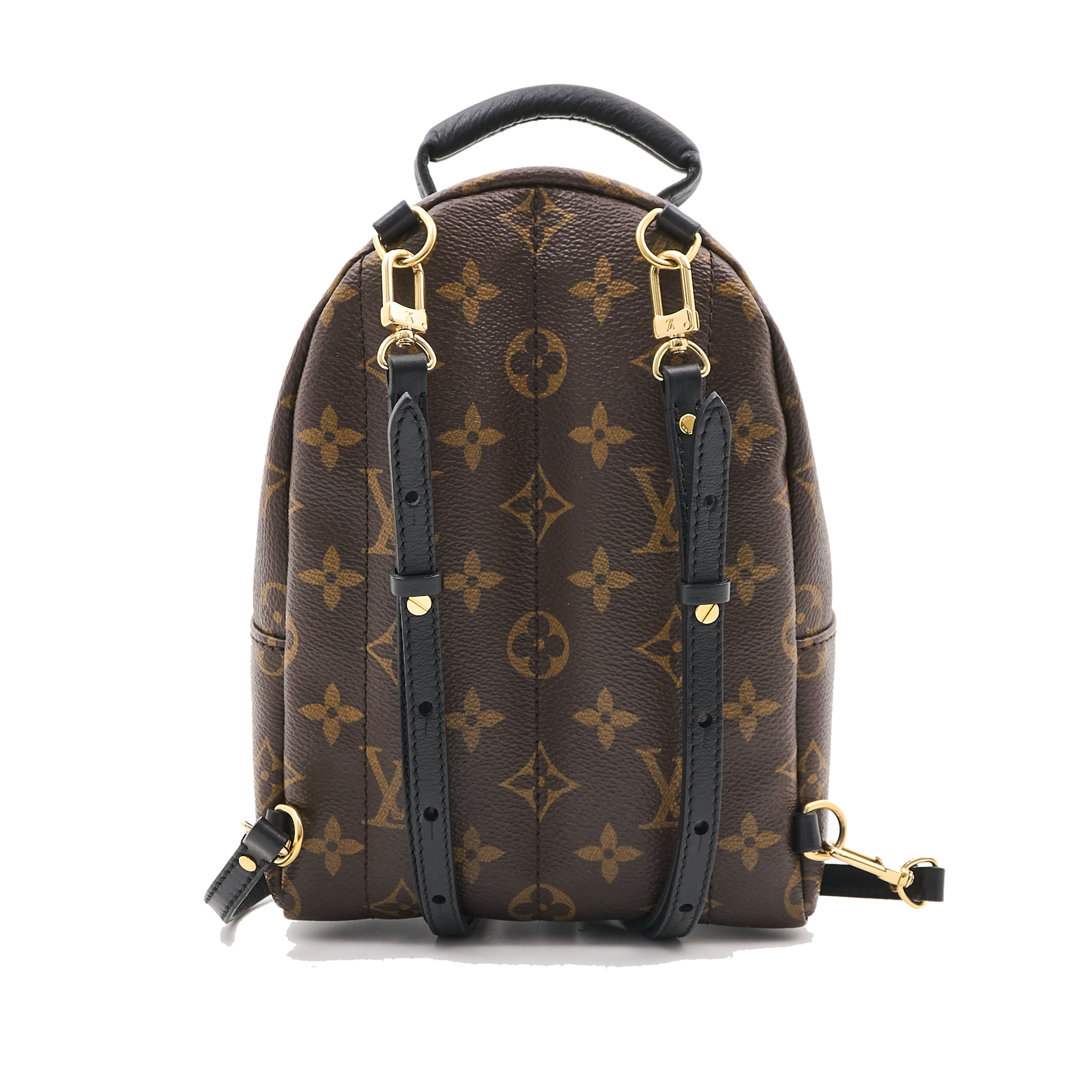 Louis Vuitton Palm Springs Mini Backpack
