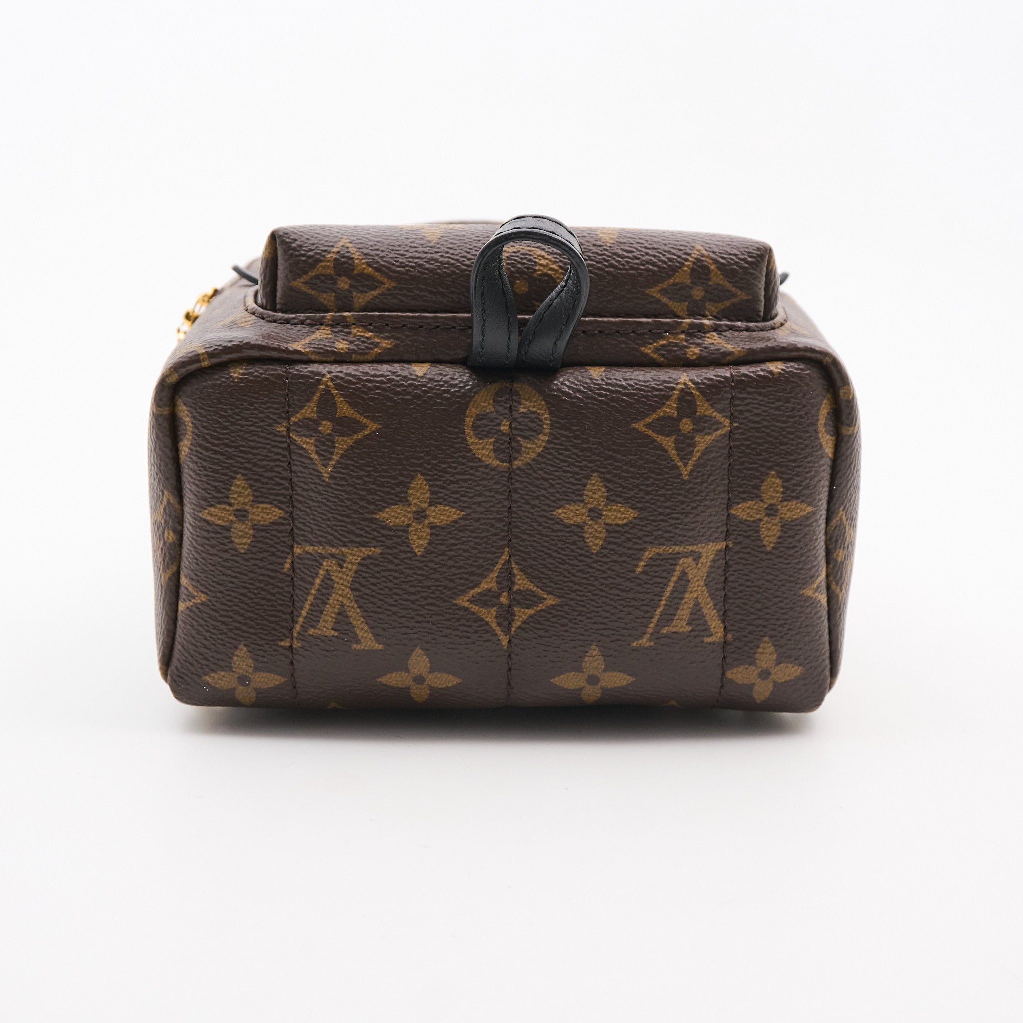Louis Vuitton Palm Springs Mini Backpack