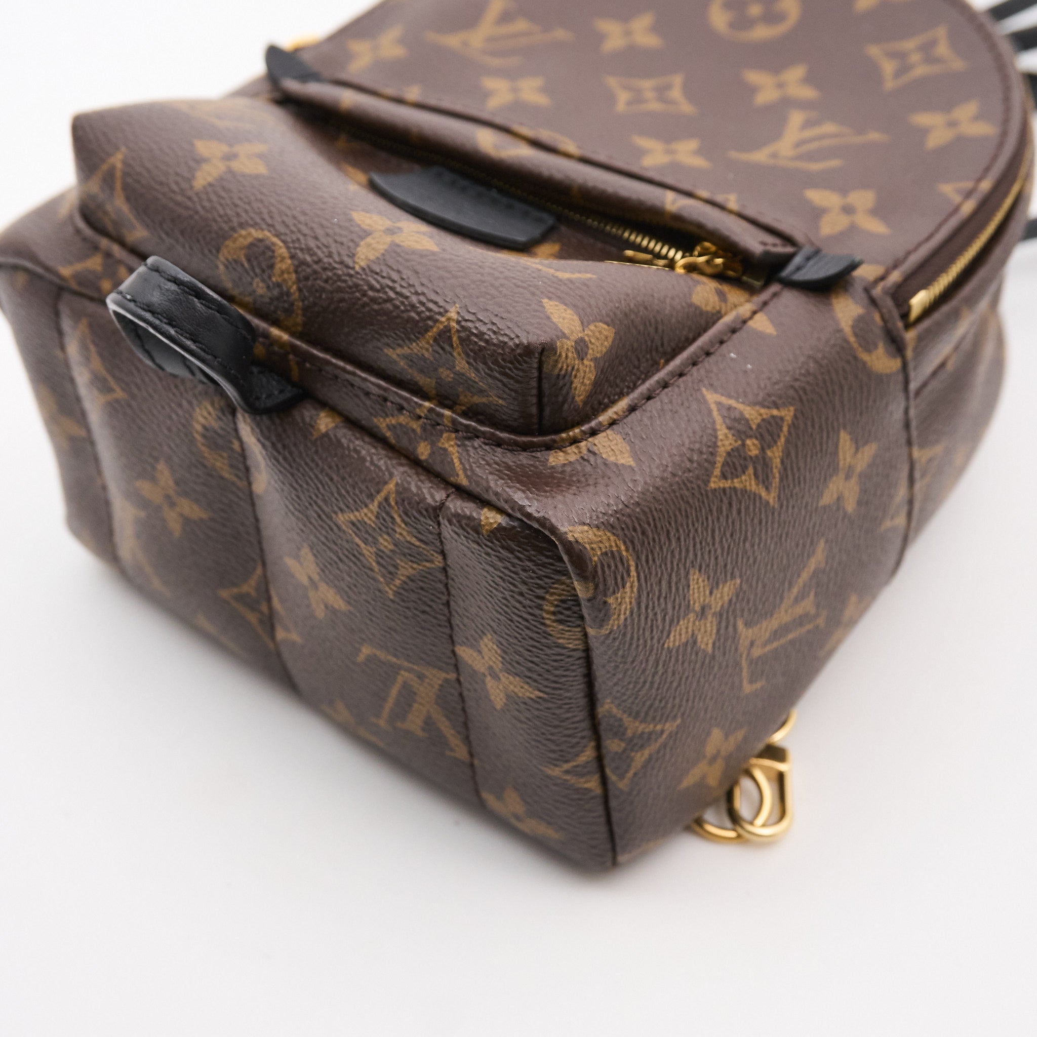 Louis Vuitton Palm Springs Mini Backpack