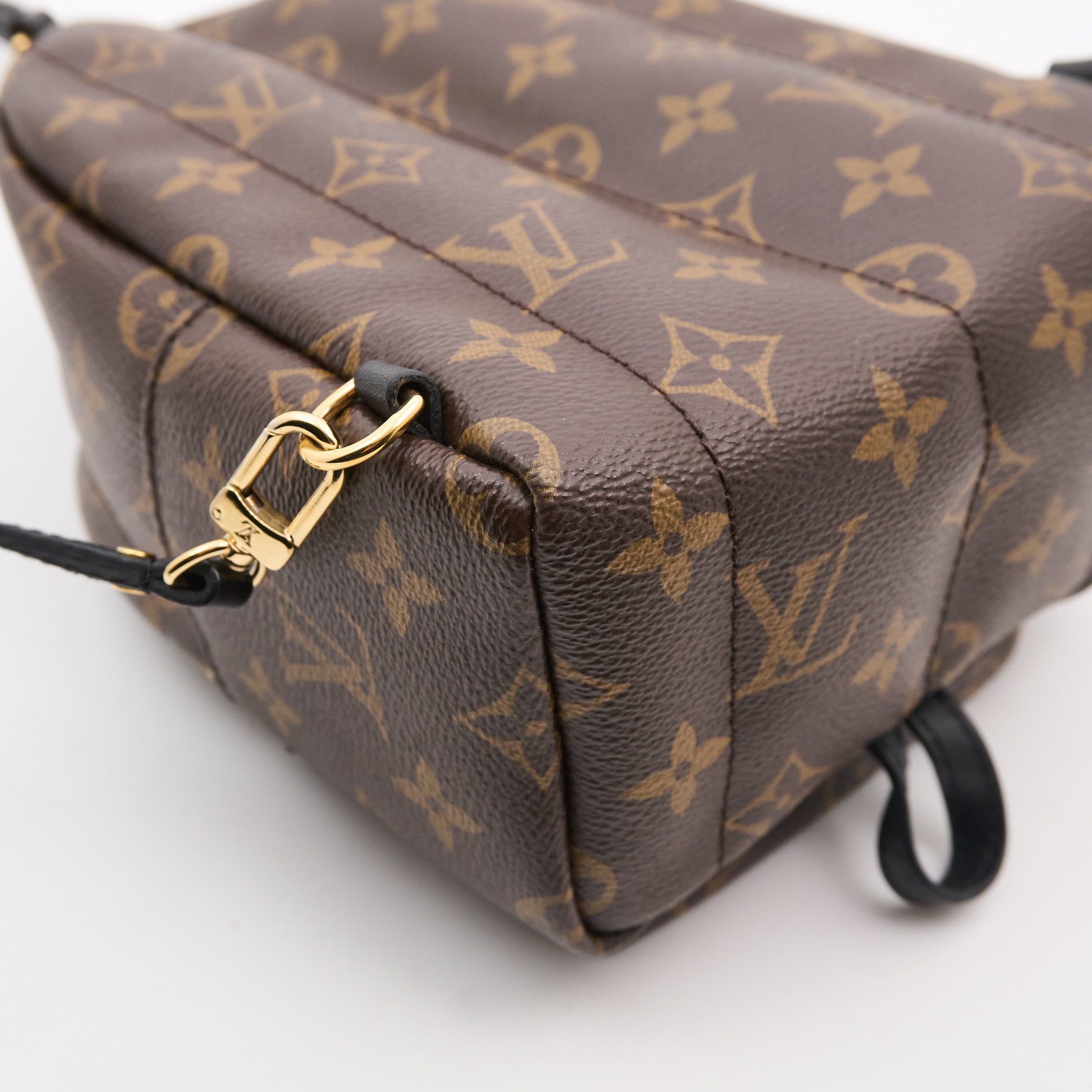 Louis Vuitton Palm Springs Mini Backpack