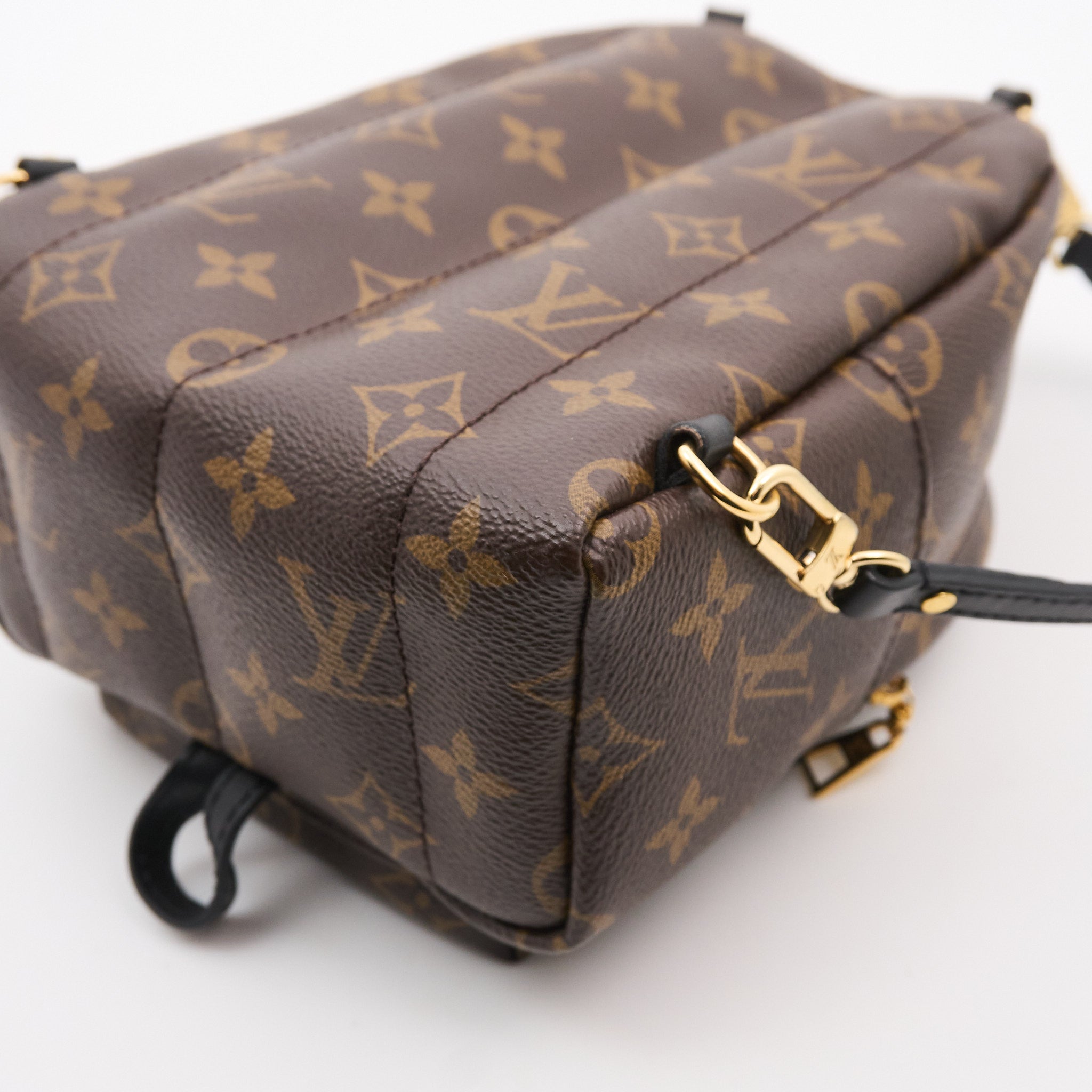 Louis Vuitton Palm Springs Mini Backpack