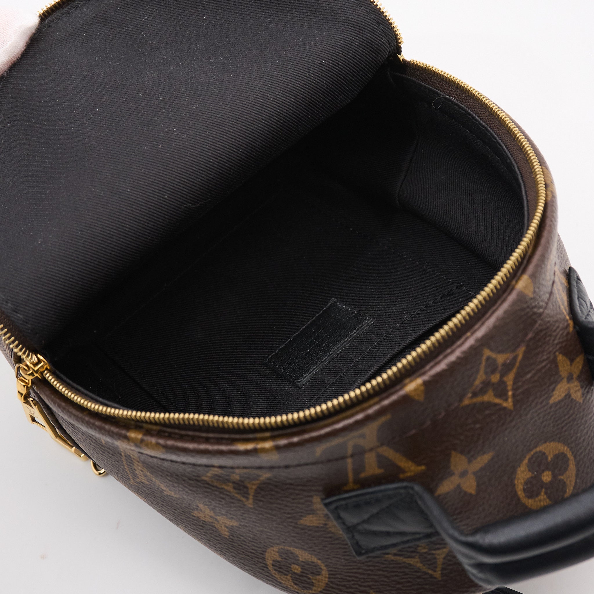 Louis Vuitton Palm Springs Mini Backpack