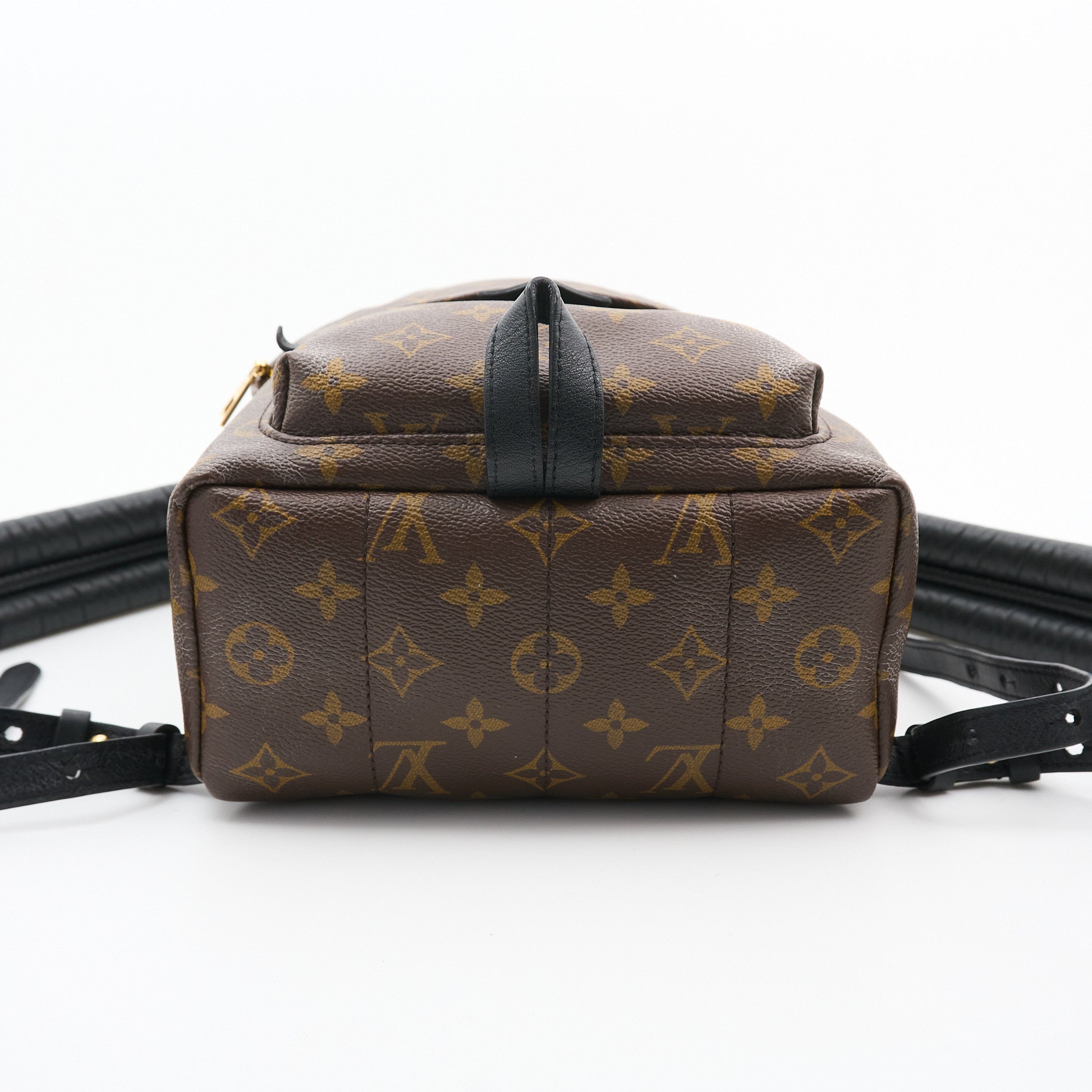 Louis Vuitton Palm Springs MM Backpack